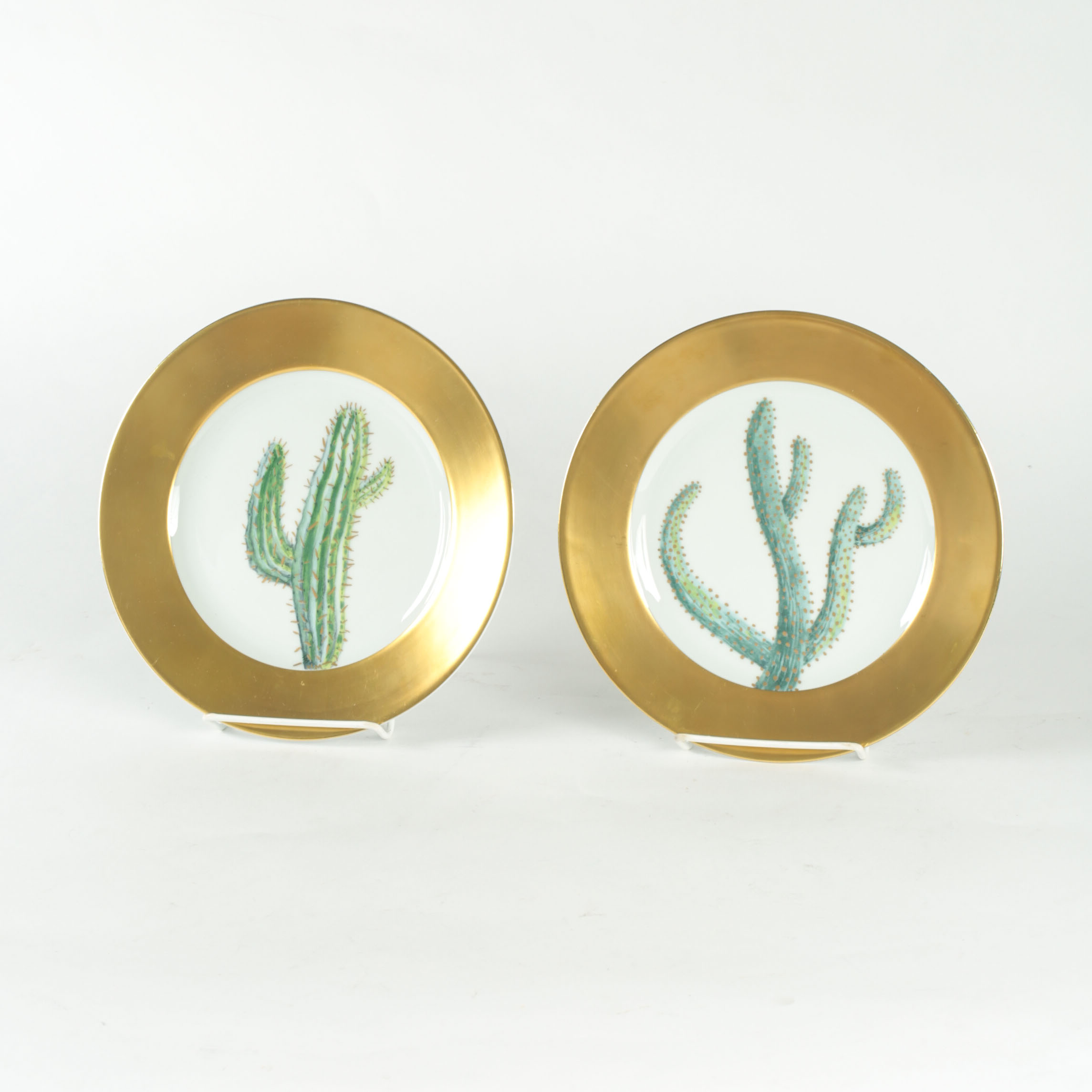 Hilton McConnico Daum Limoges Cacti Plates