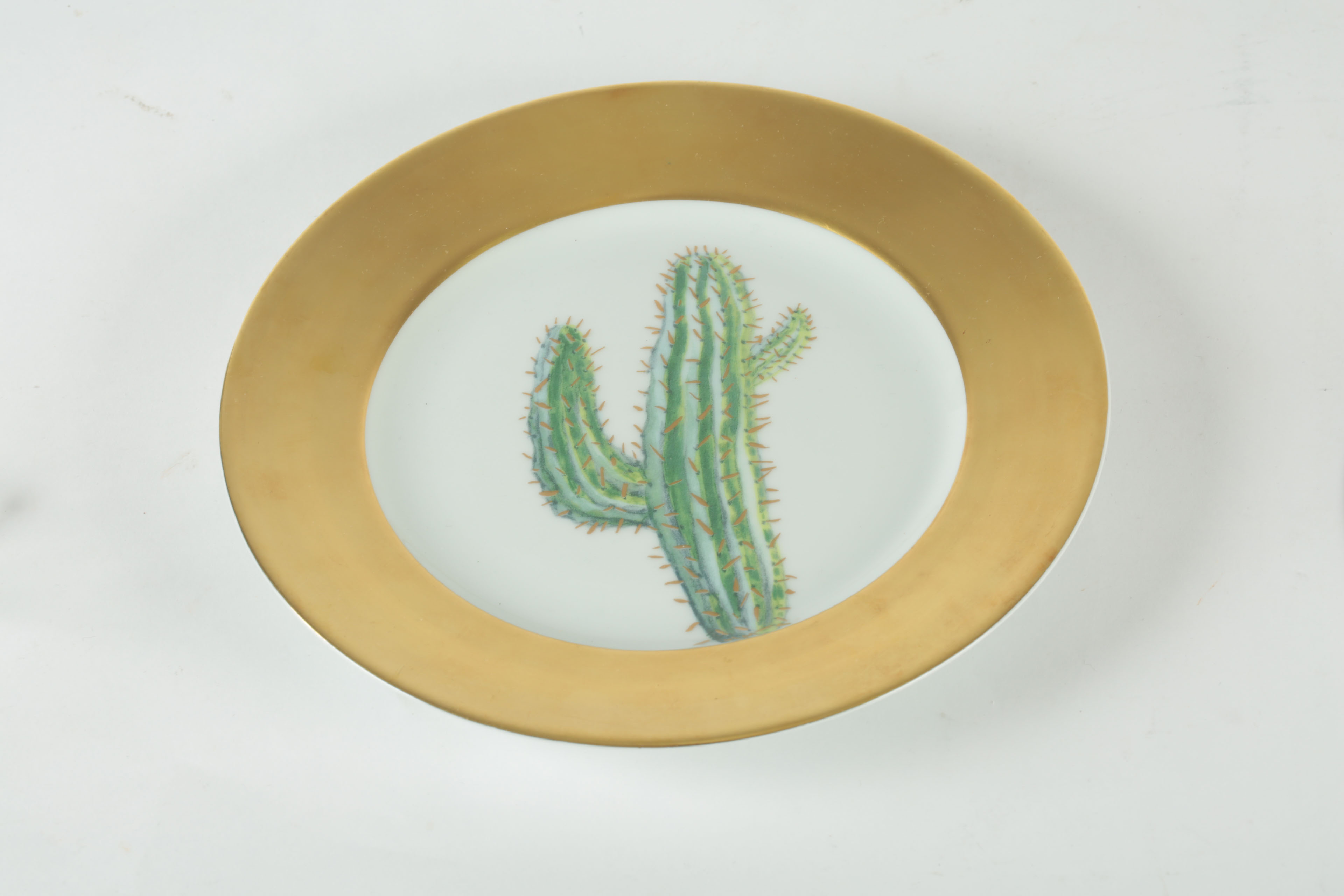 Hilton McConnico Daum Limoges Cacti Plates