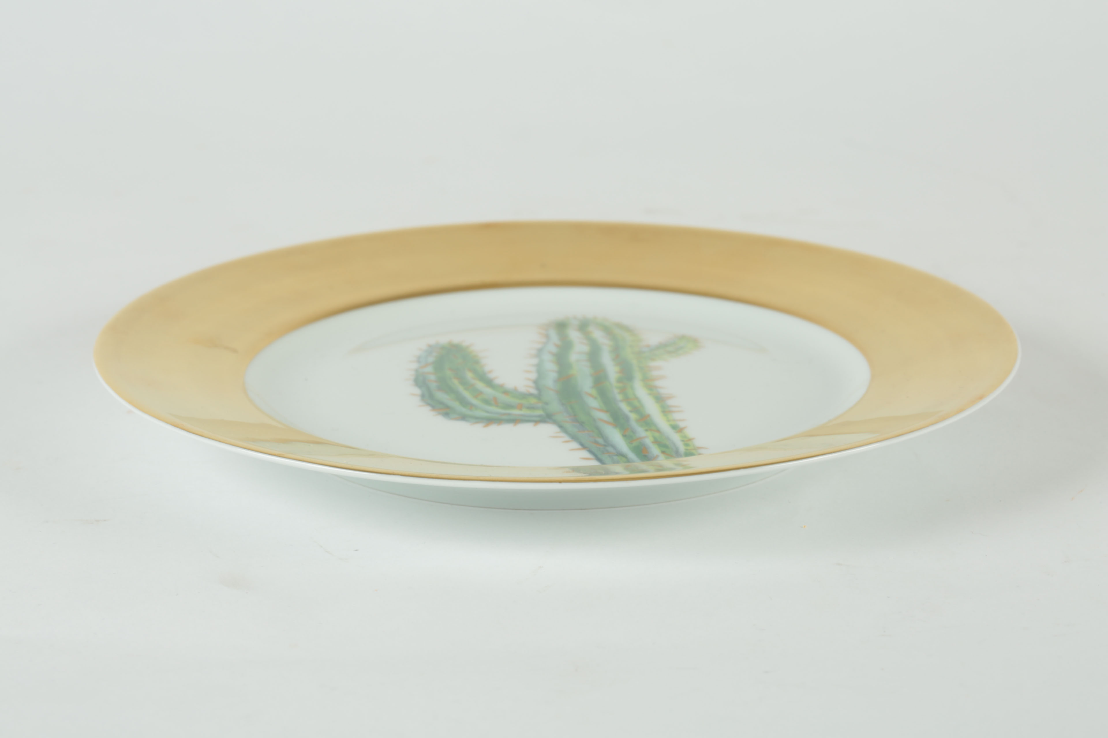 Hilton McConnico Daum Limoges Cacti Plates