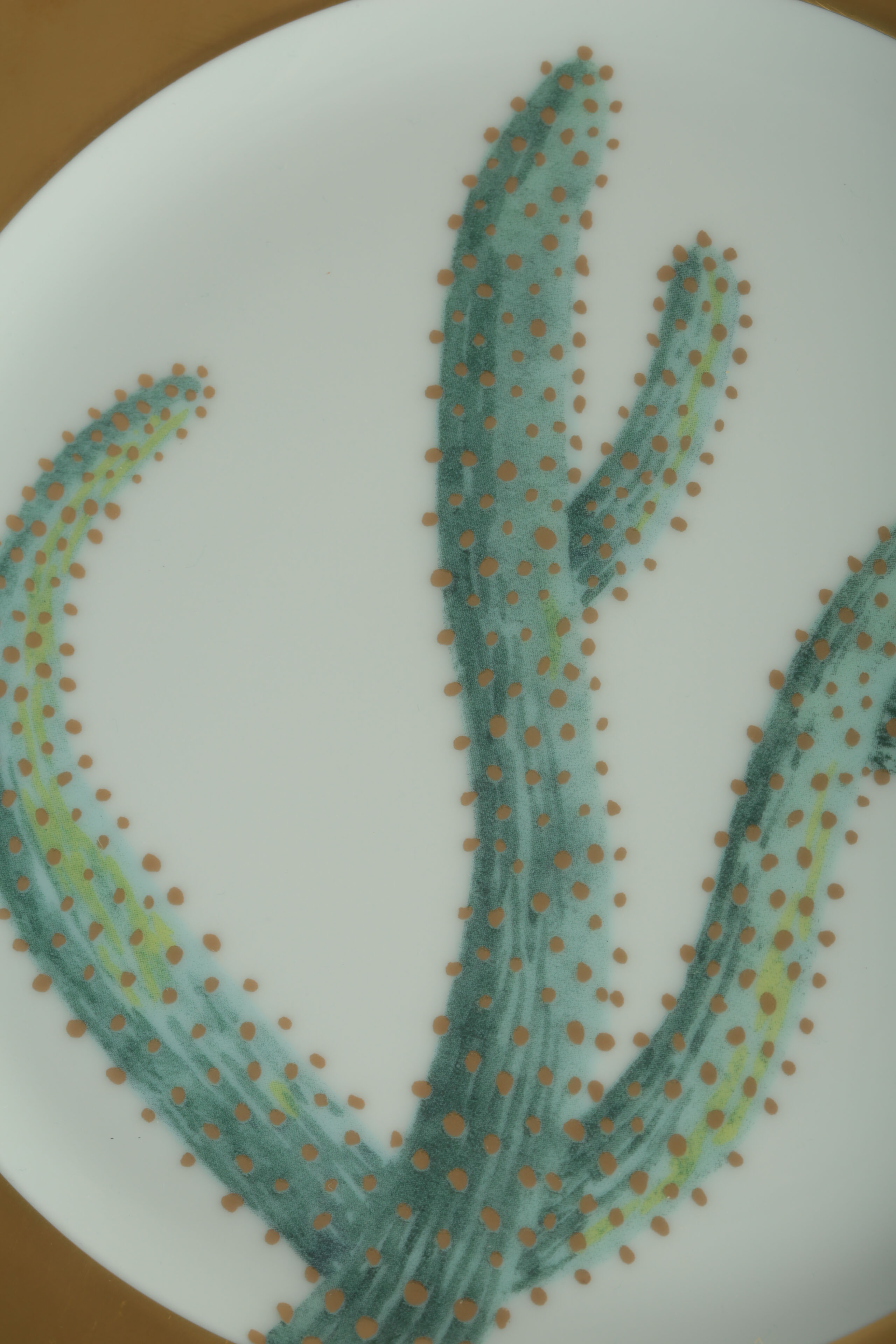 Hilton McConnico Daum Limoges Cacti Plates