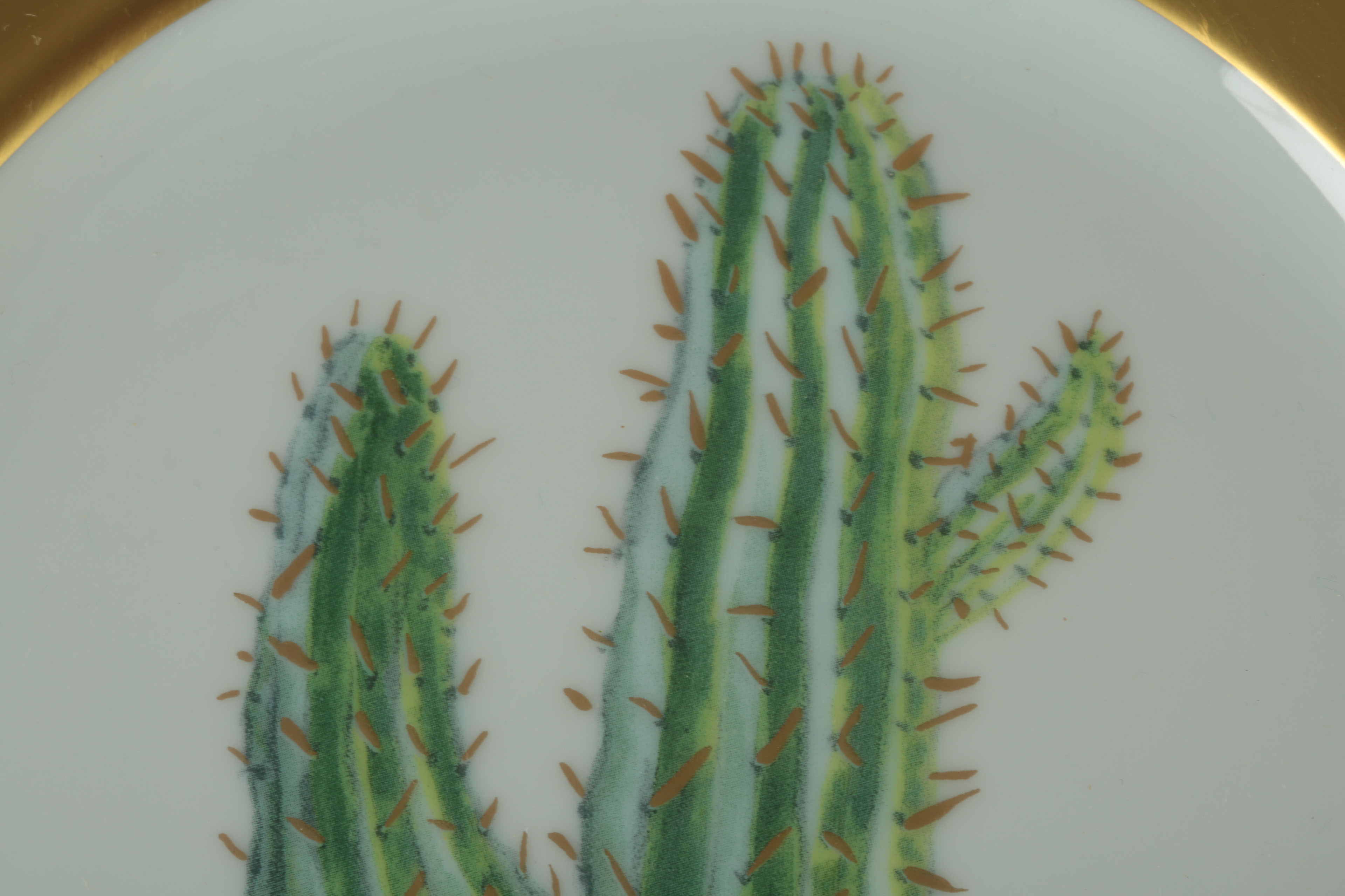 Hilton McConnico Daum Limoges Cacti Plates