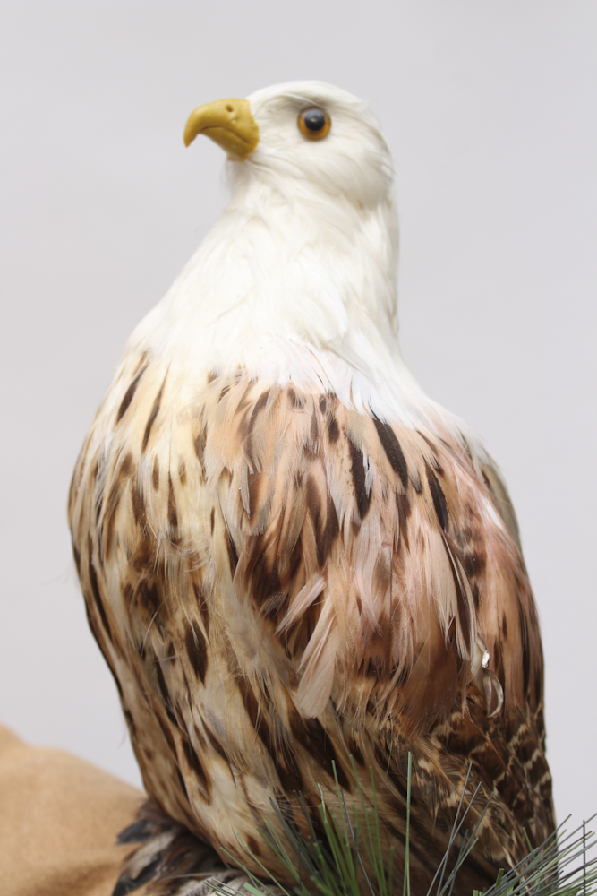 Sitting Santa with Native American Style Attire by Dee Cash