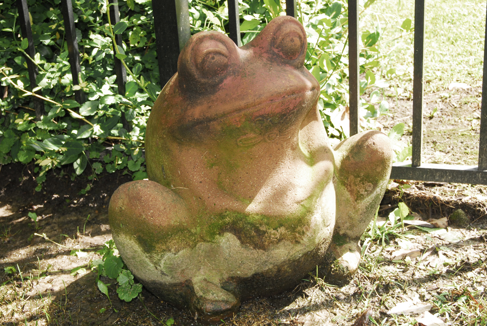 Terra Cotta Frog Planter