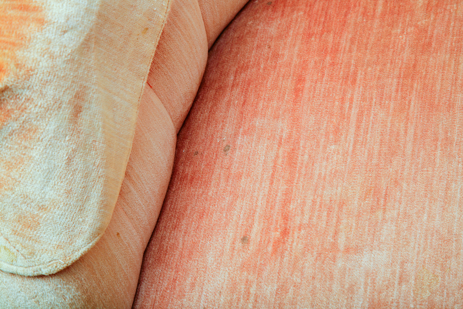 Vintage Orange Velour Louis XV Style Barrel Chair