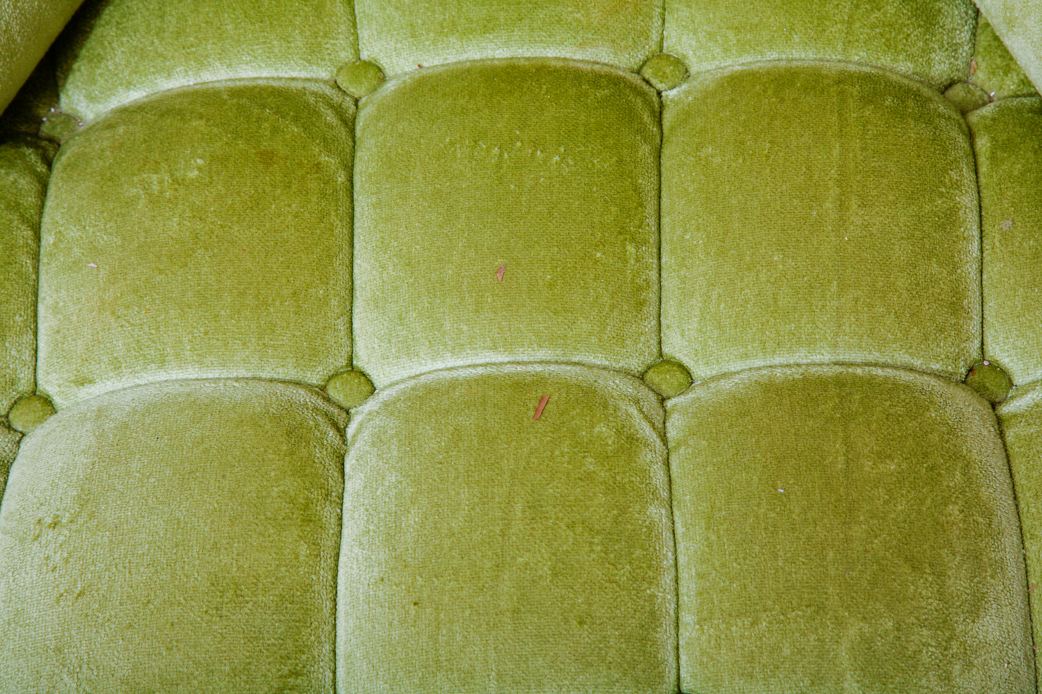 Regency Style Tufted Chair