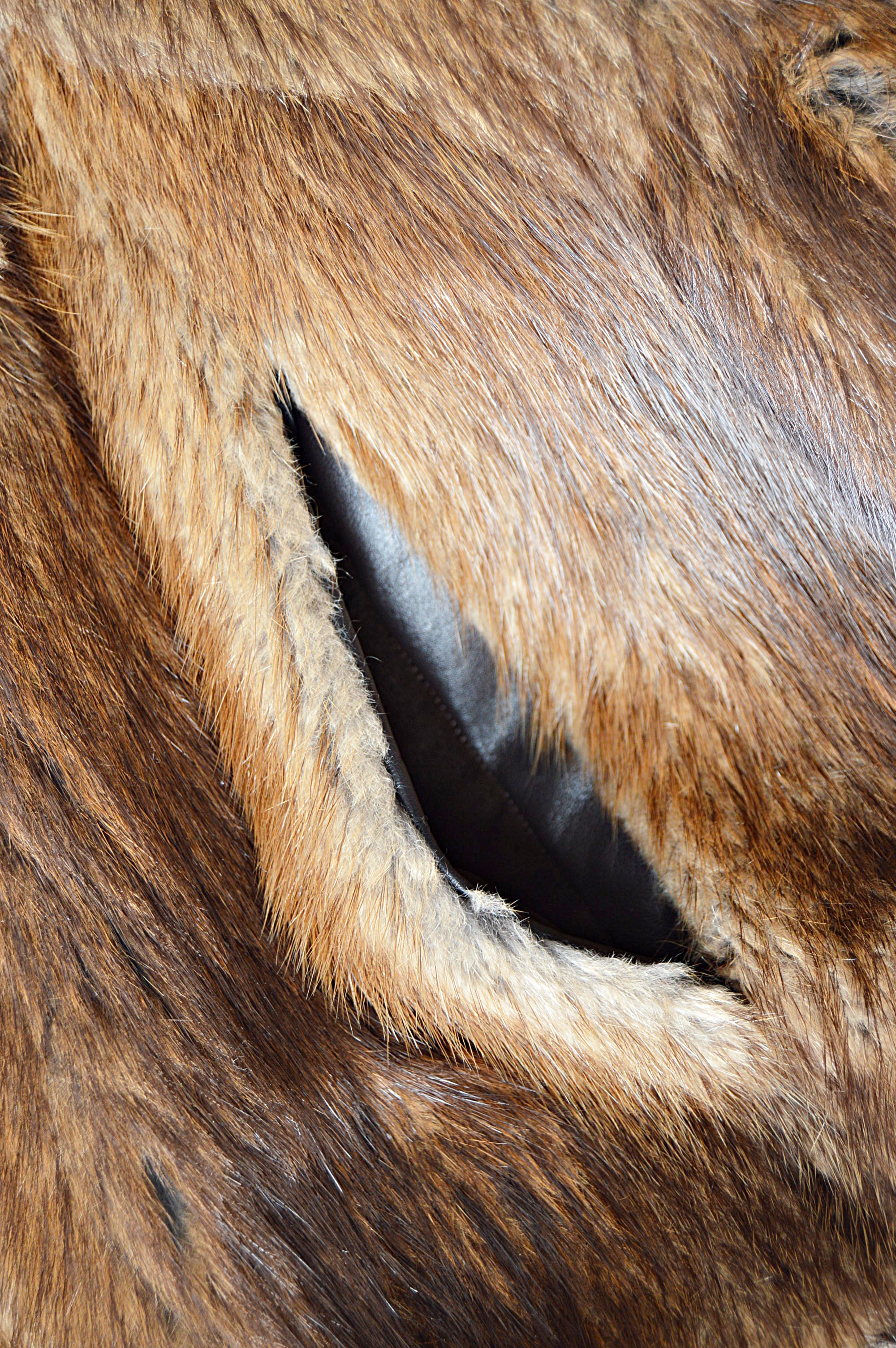 David Green Alaskan Fur Parka with Fox Trim