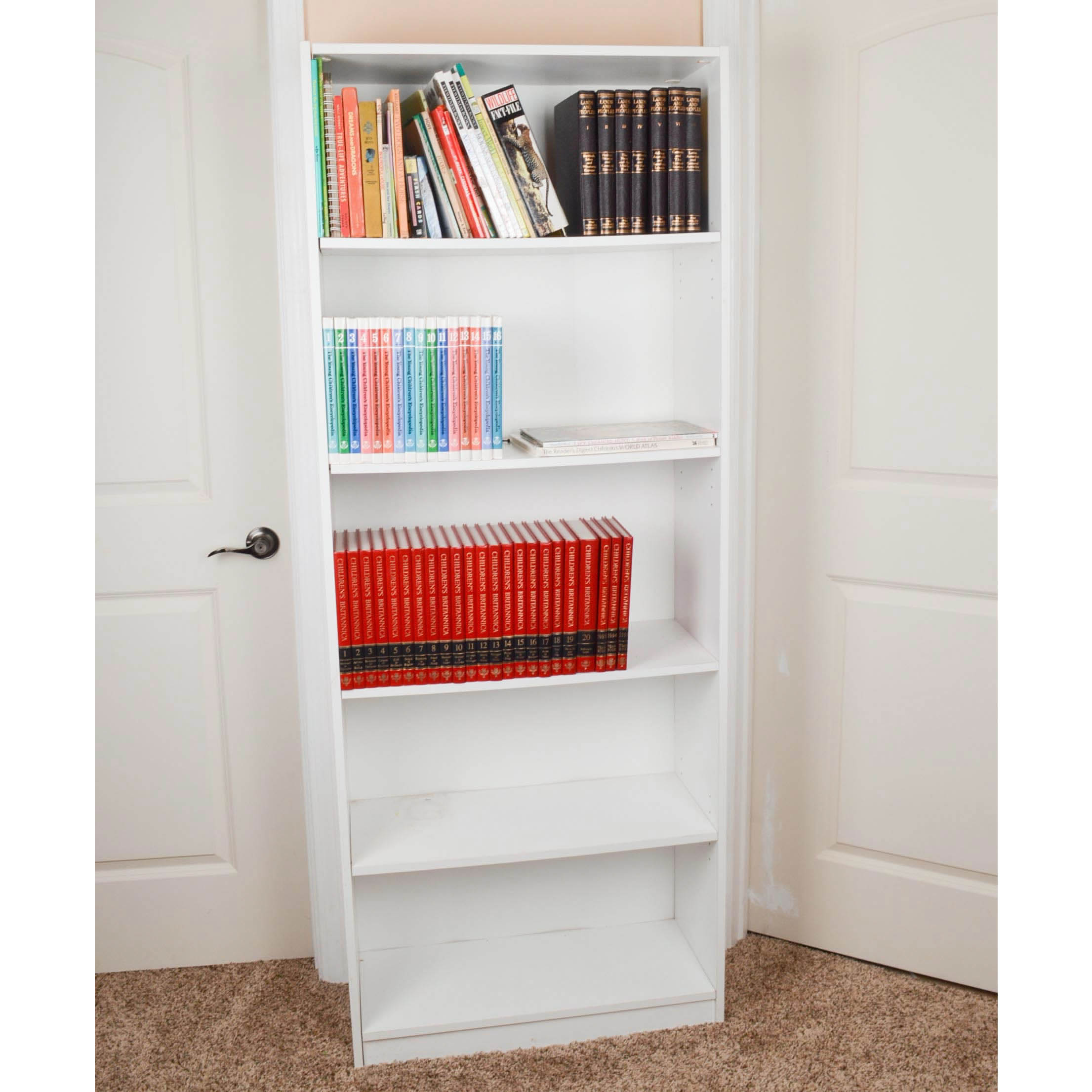 Children's Reference and Pleasure Reading Books With Bookcase