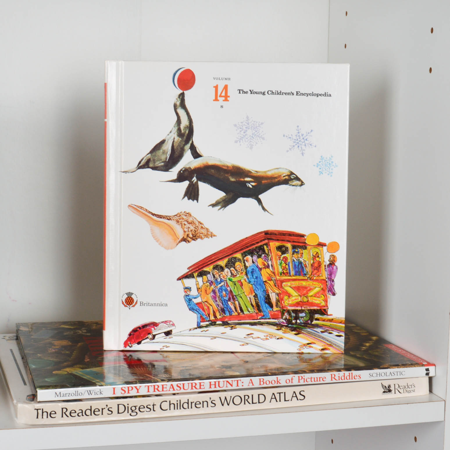 Children's Reference and Pleasure Reading Books With Bookcase