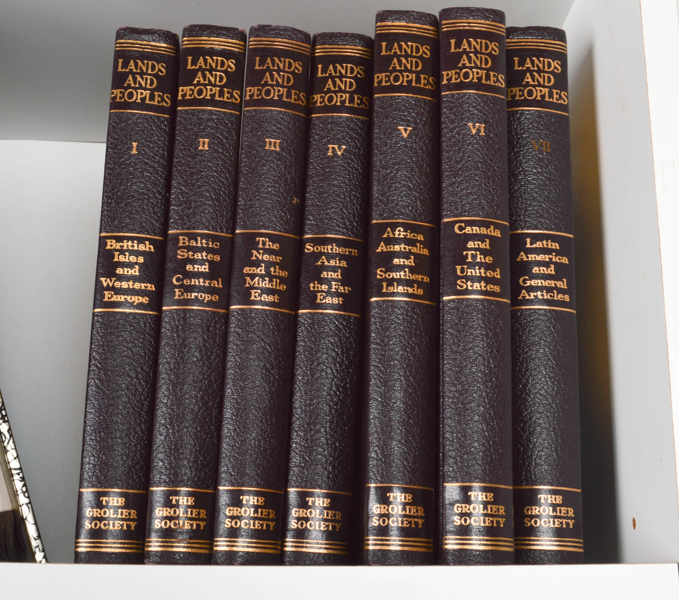 Children's Reference and Pleasure Reading Books With Bookcase