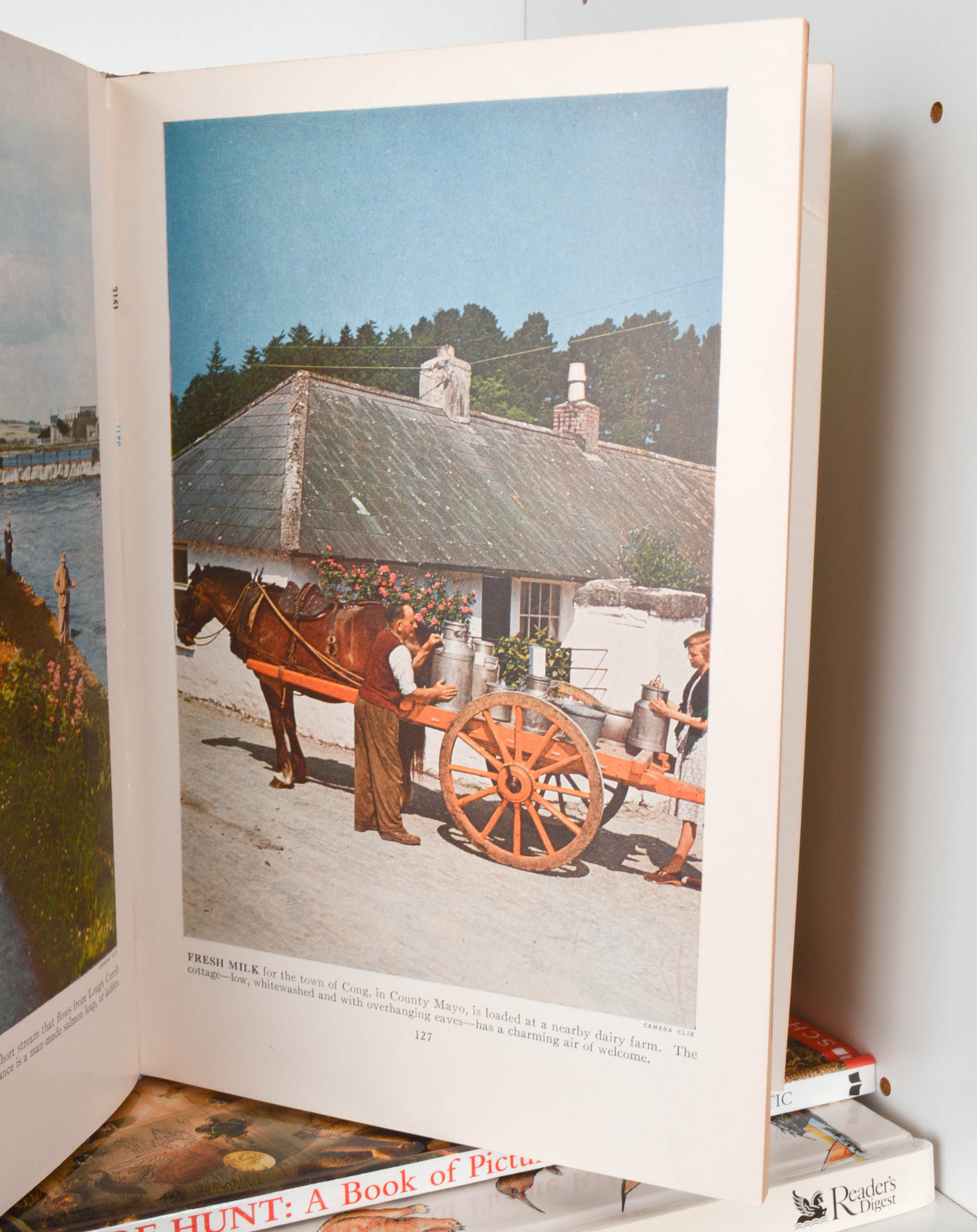 Children's Reference and Pleasure Reading Books With Bookcase