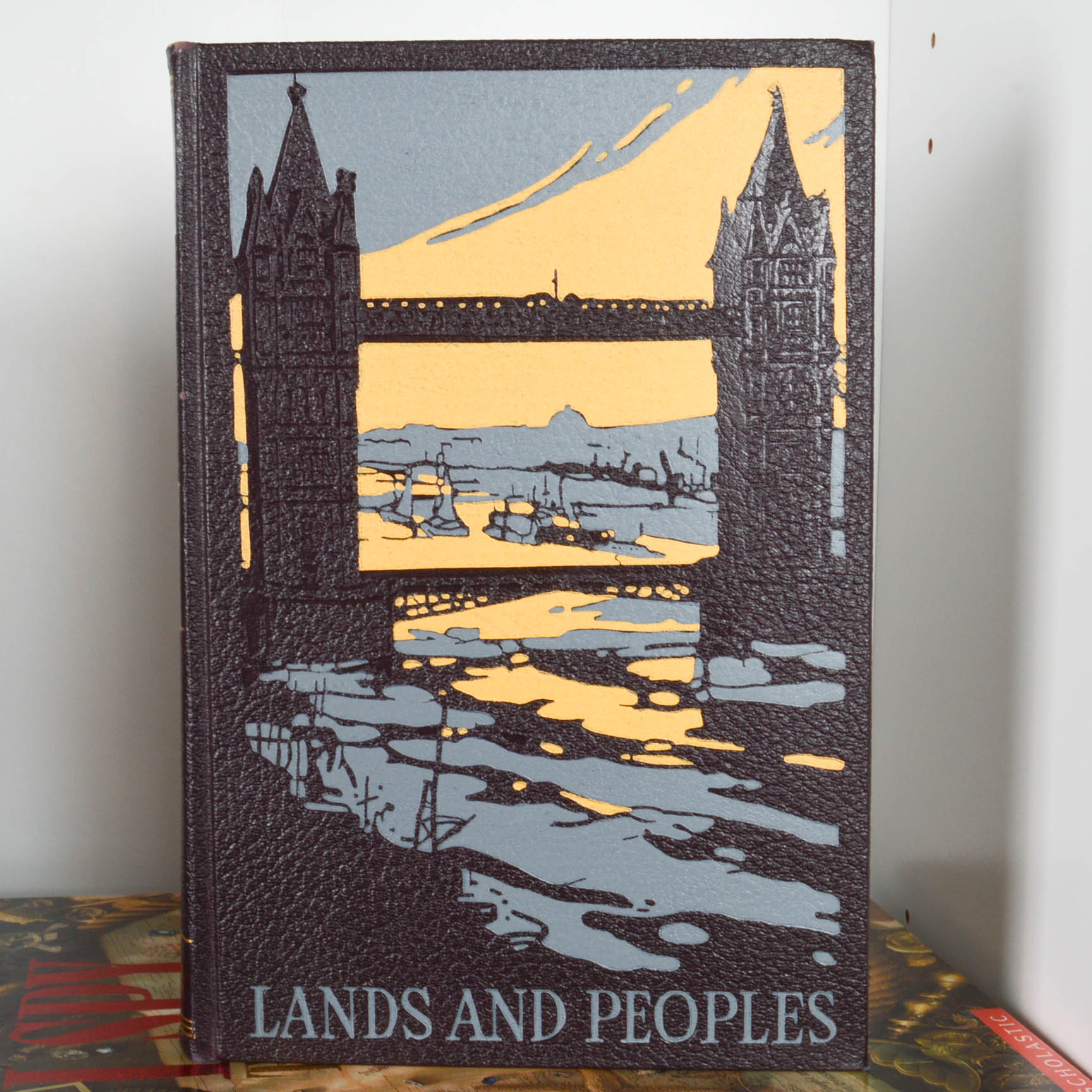 Children's Reference and Pleasure Reading Books With Bookcase