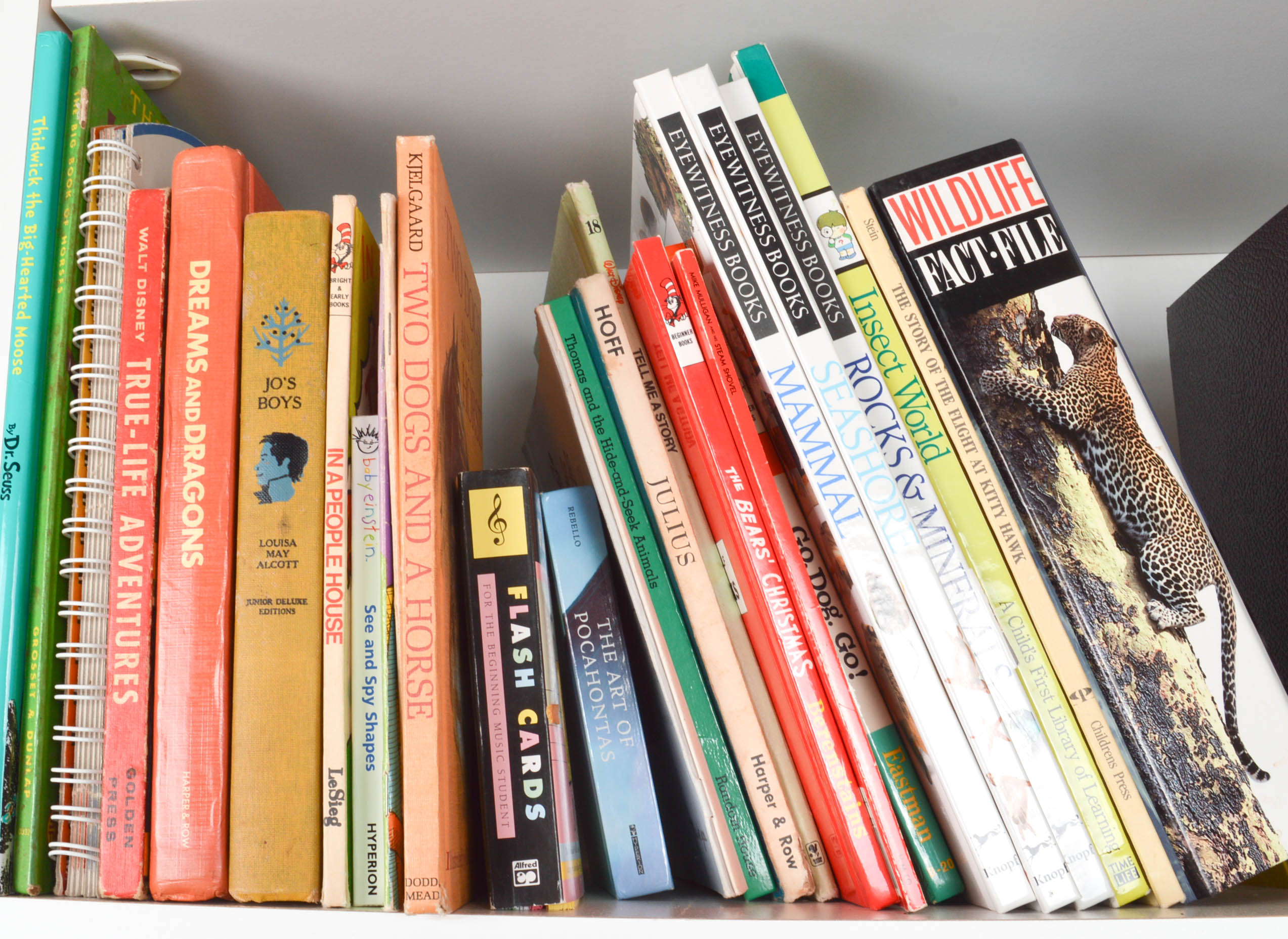 Children's Reference and Pleasure Reading Books With Bookcase