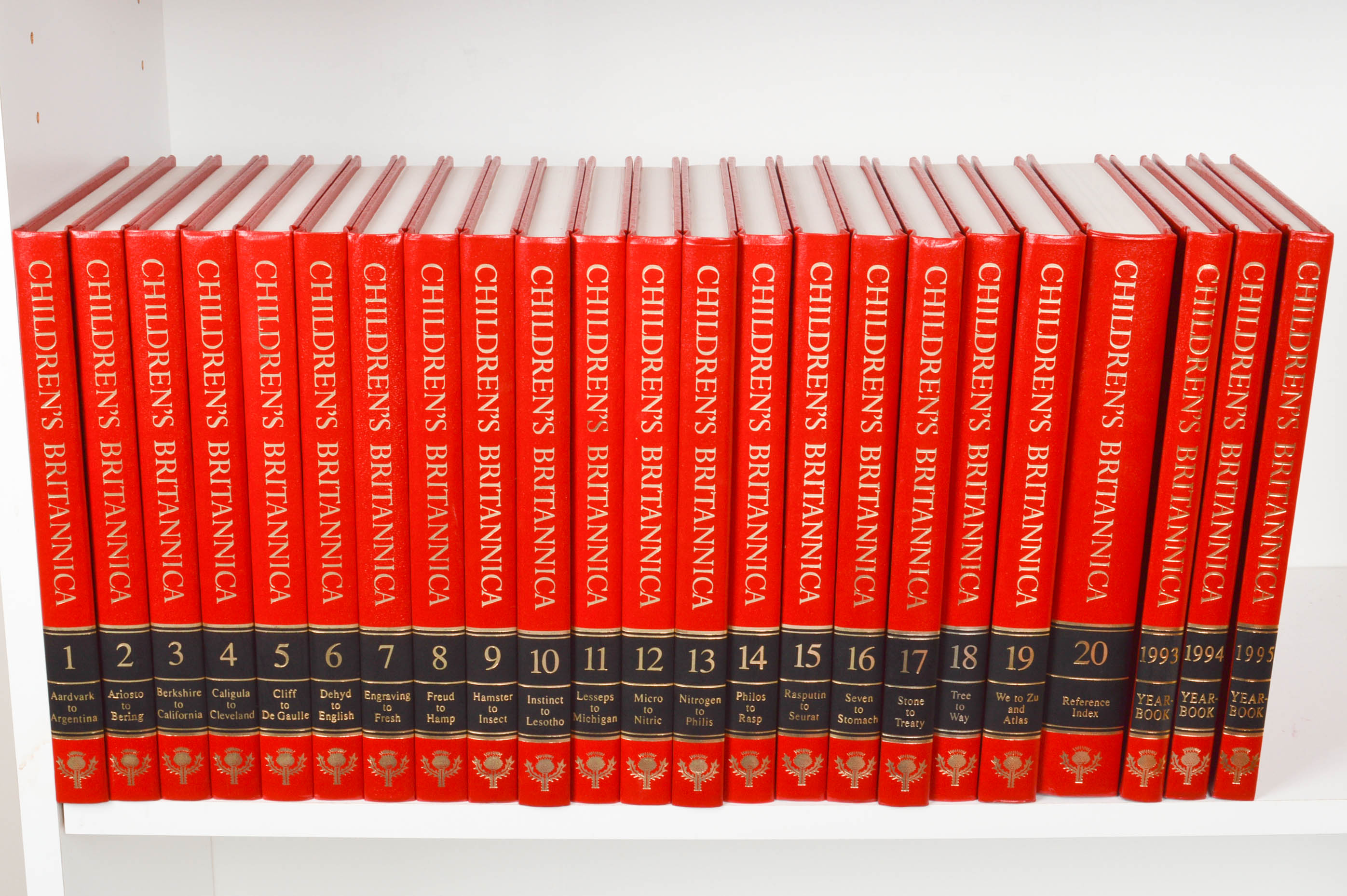 Children's Reference and Pleasure Reading Books With Bookcase