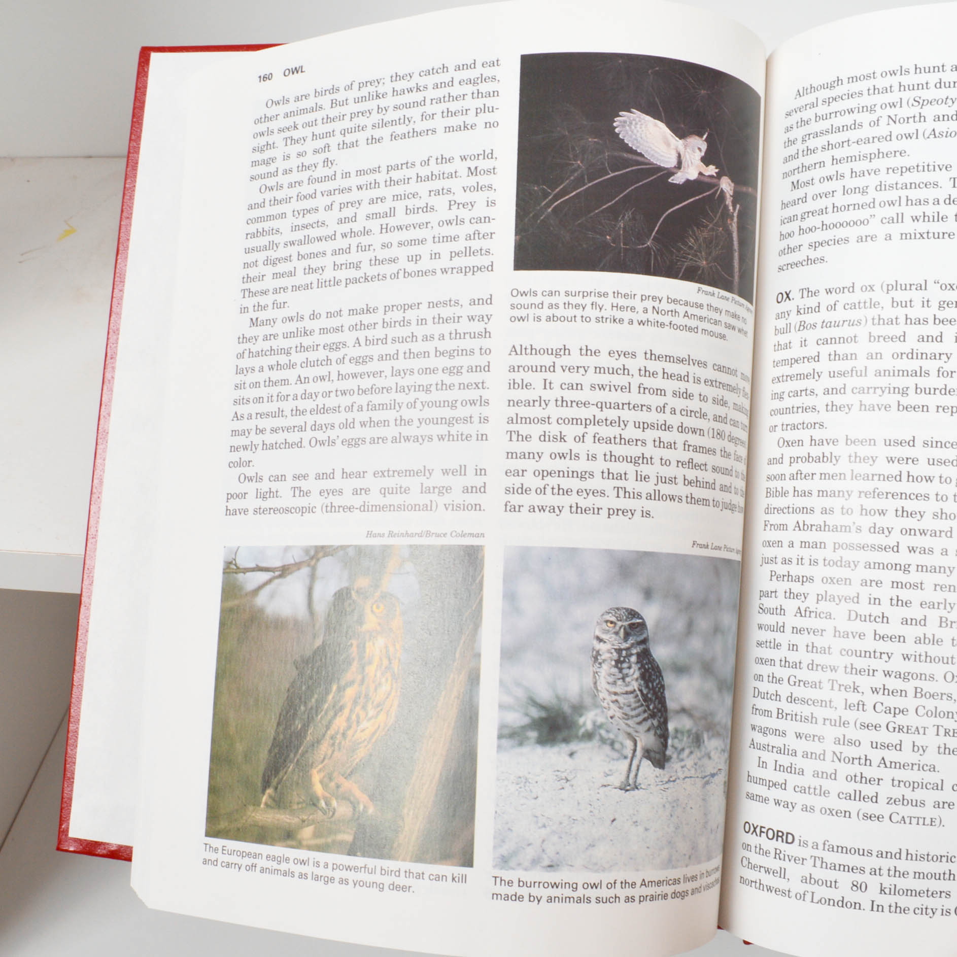 Children's Reference and Pleasure Reading Books With Bookcase