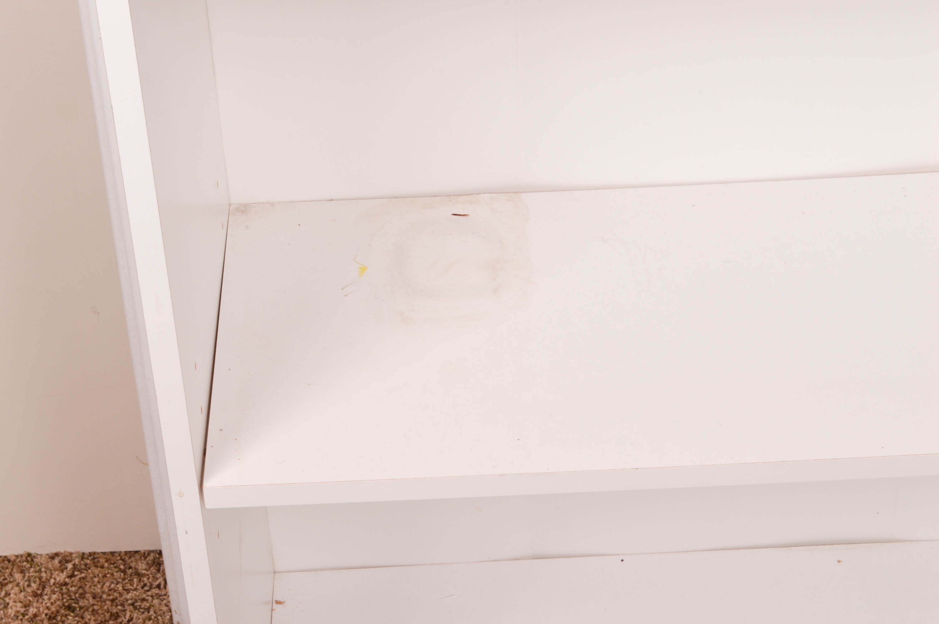 Children's Reference and Pleasure Reading Books With Bookcase