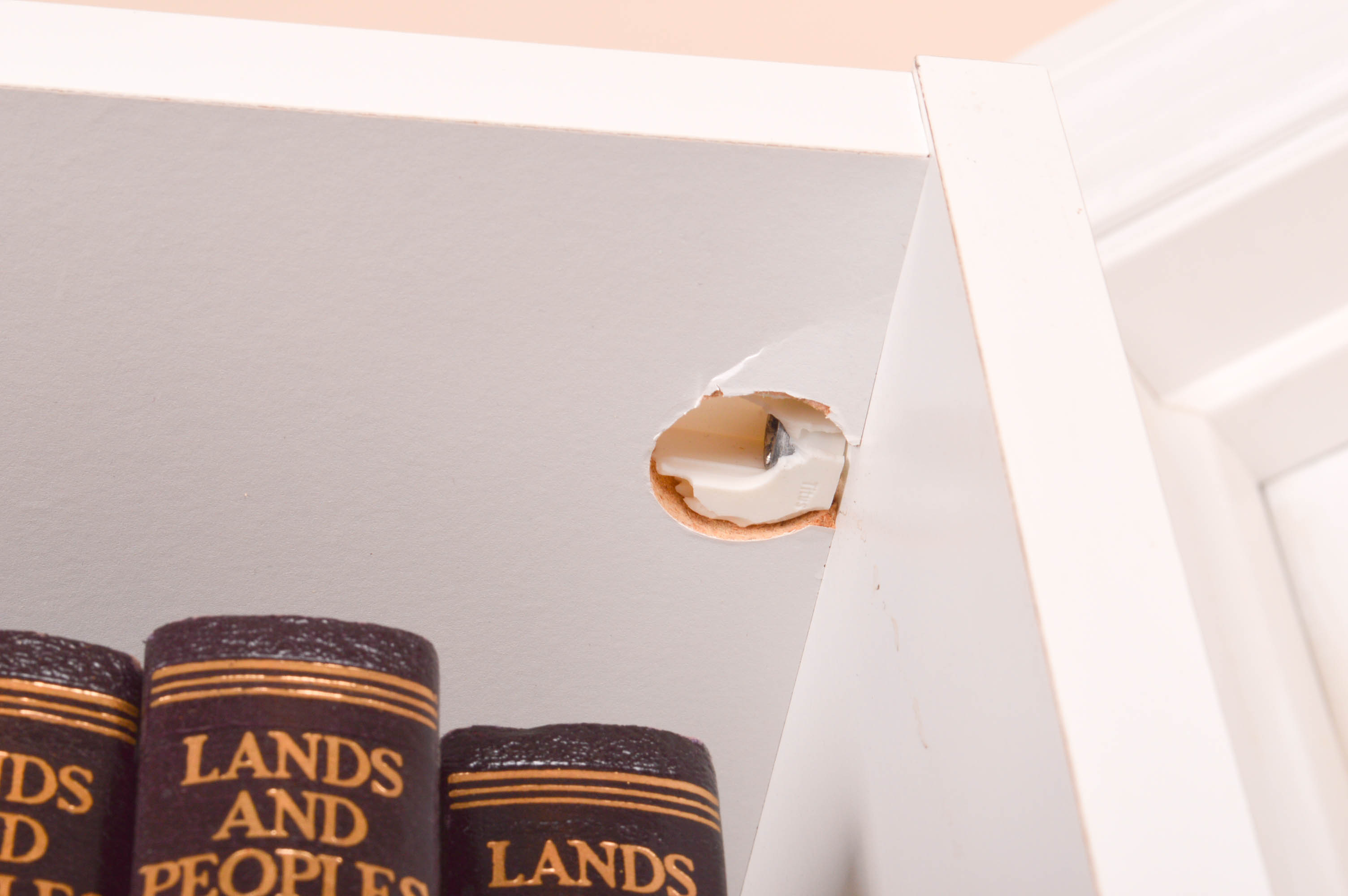 Children's Reference and Pleasure Reading Books With Bookcase