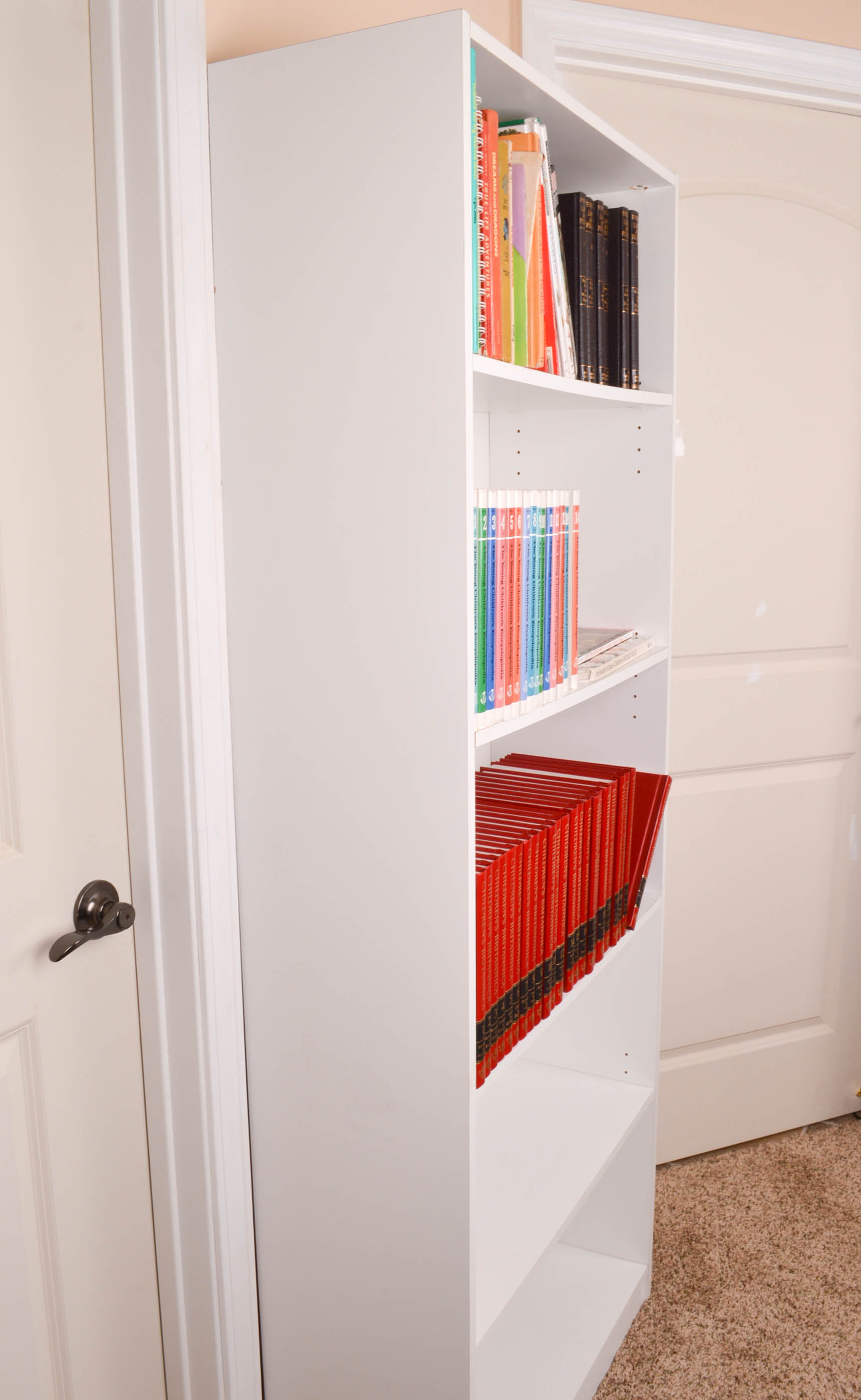 Children's Reference and Pleasure Reading Books With Bookcase