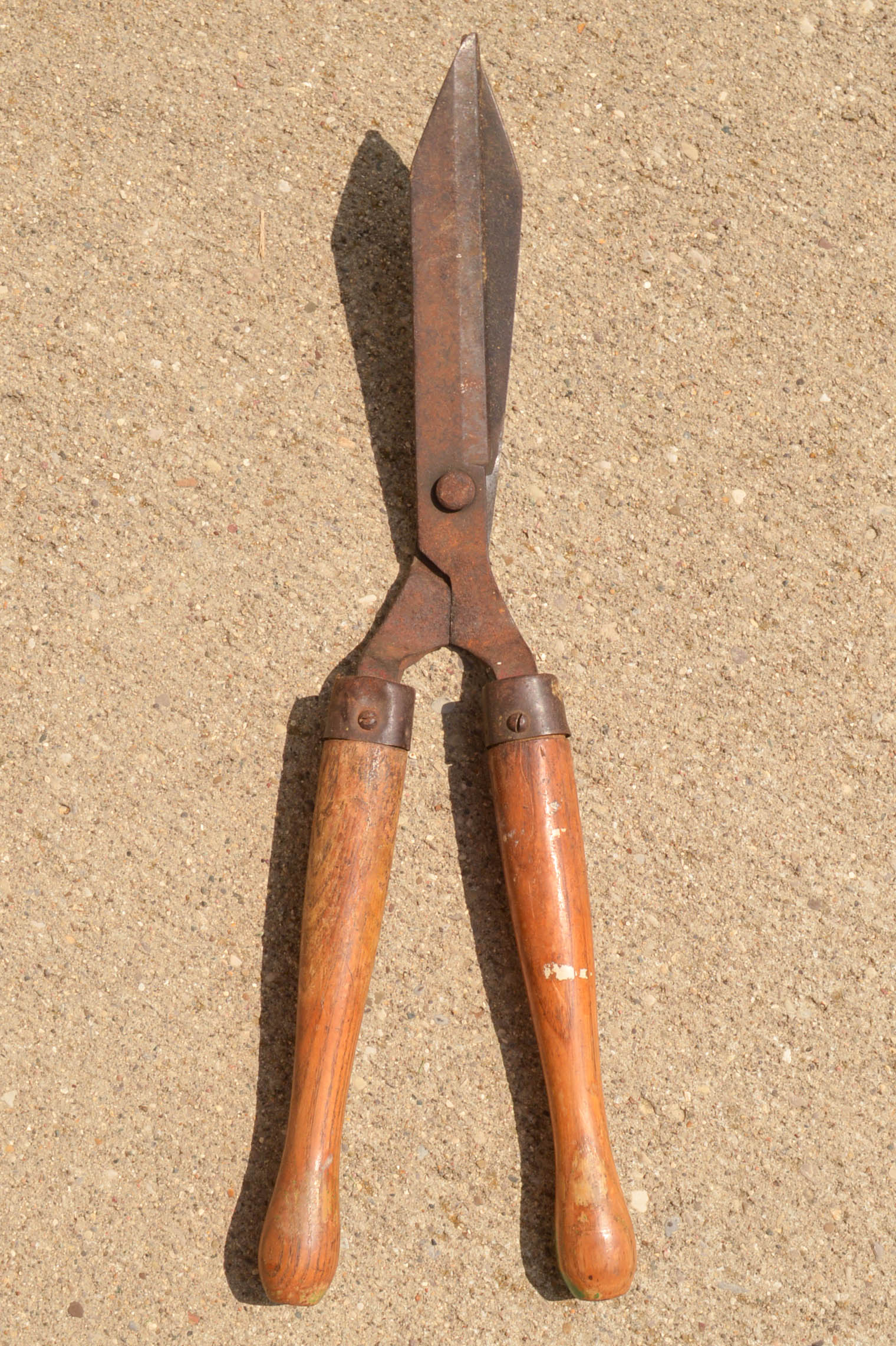 Assorted Lawn and Garage Supplies