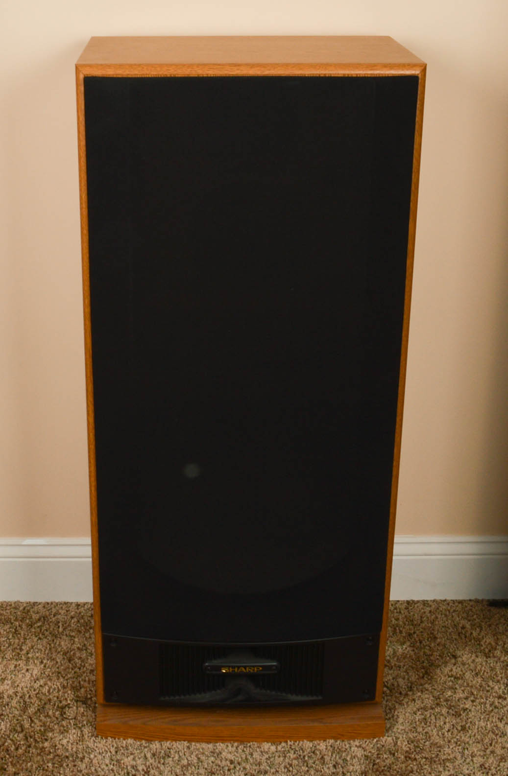 Sharp Stereo Components, Cabinet and Floor Speakers