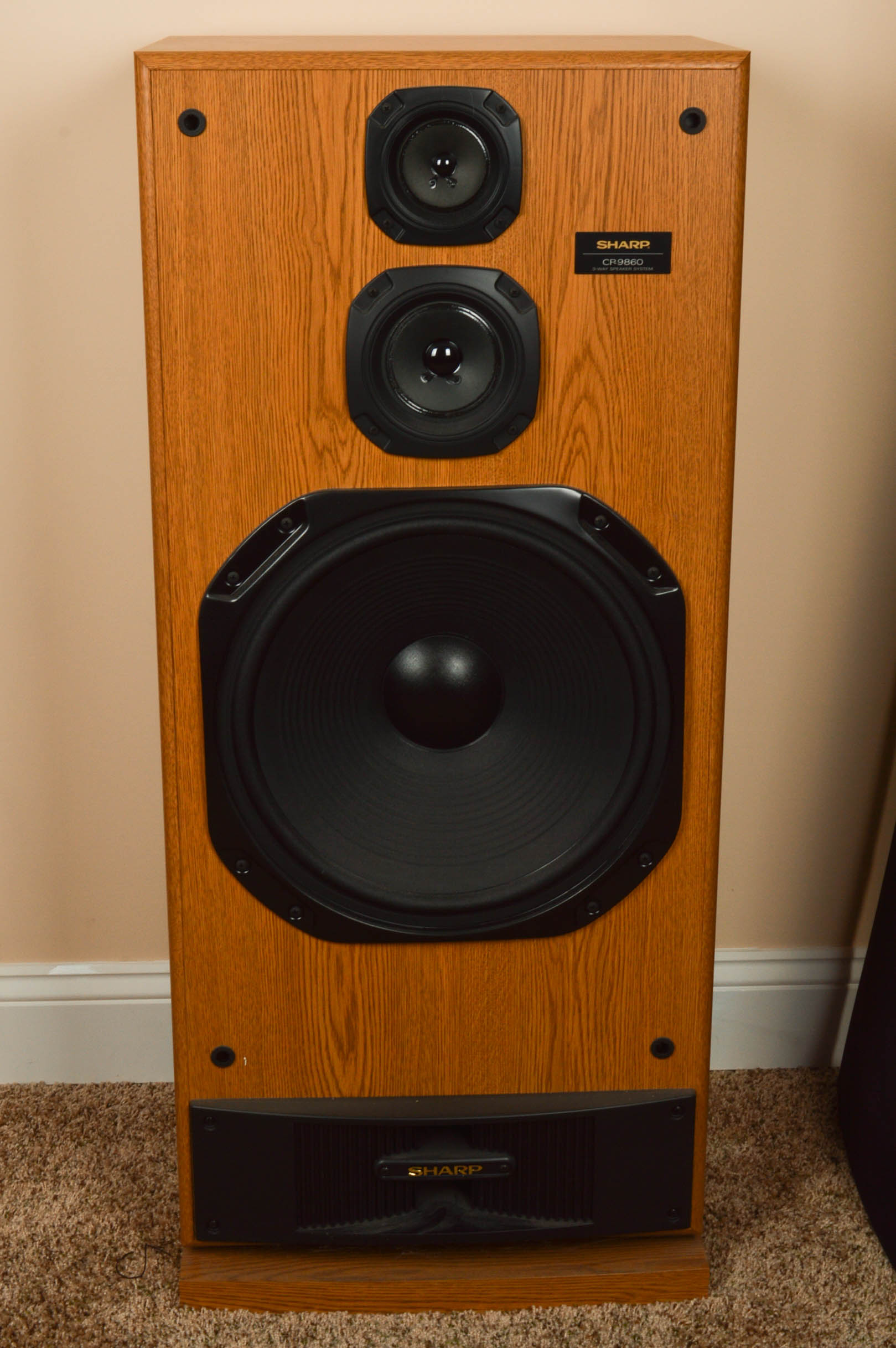 Sharp Stereo Components, Cabinet and Floor Speakers