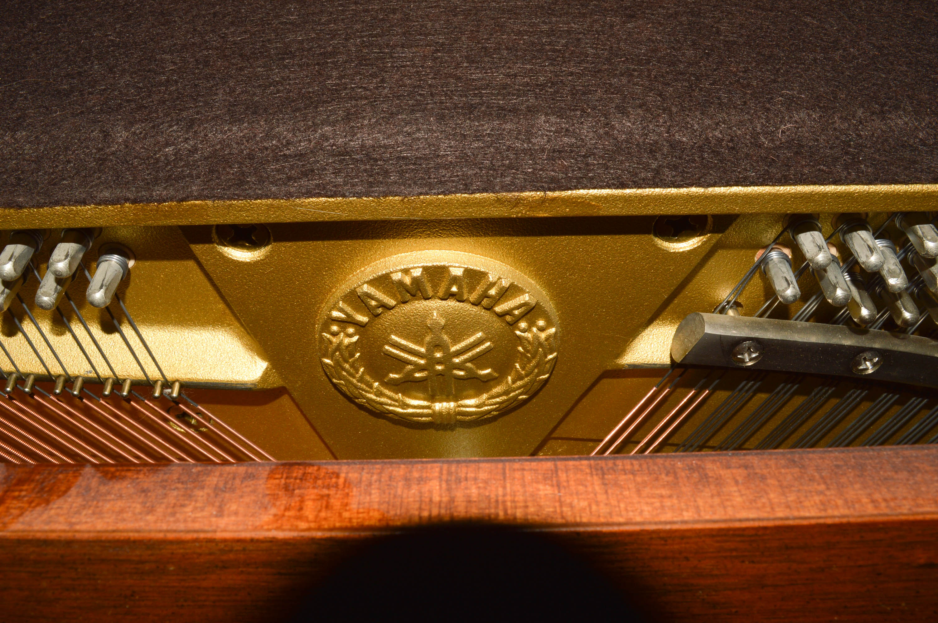 Yamaha Disklavier Piano