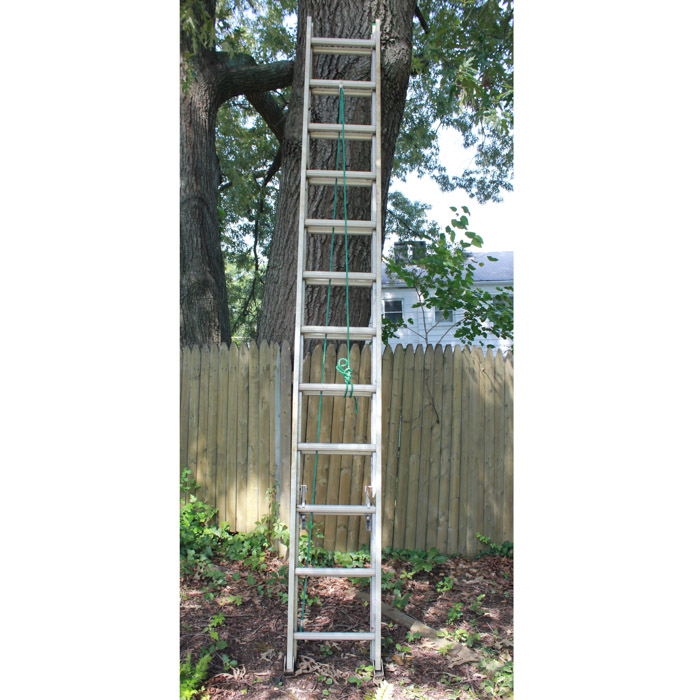 Werner Extension Ladder