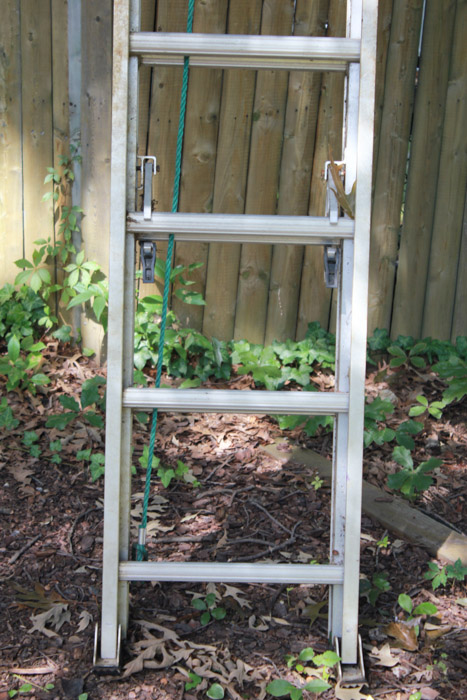 Werner Extension Ladder