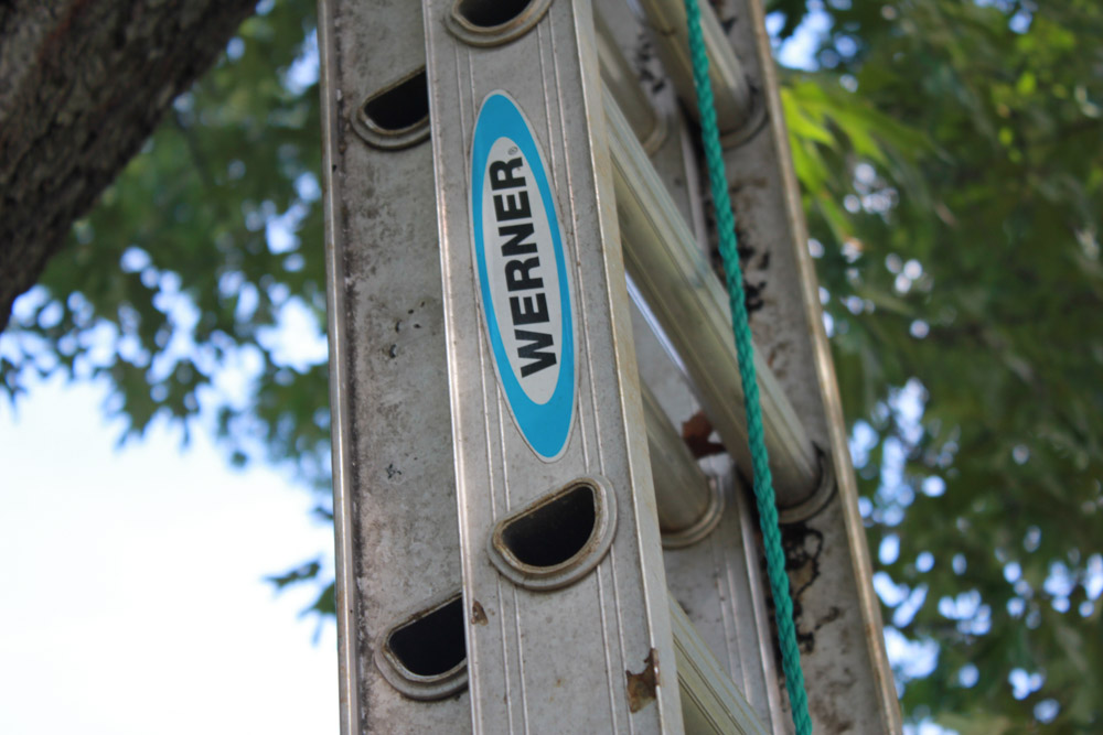Werner Extension Ladder