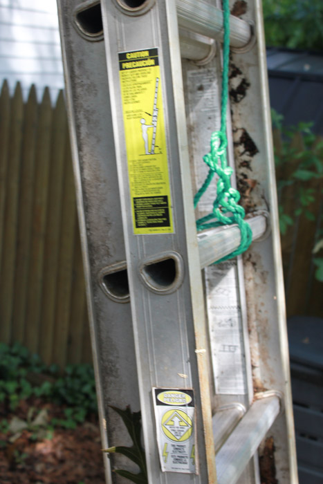 Werner Extension Ladder