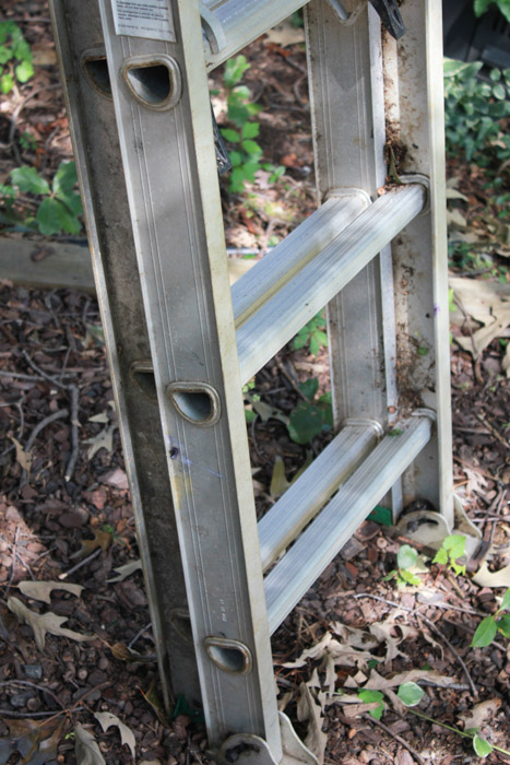 Werner Extension Ladder