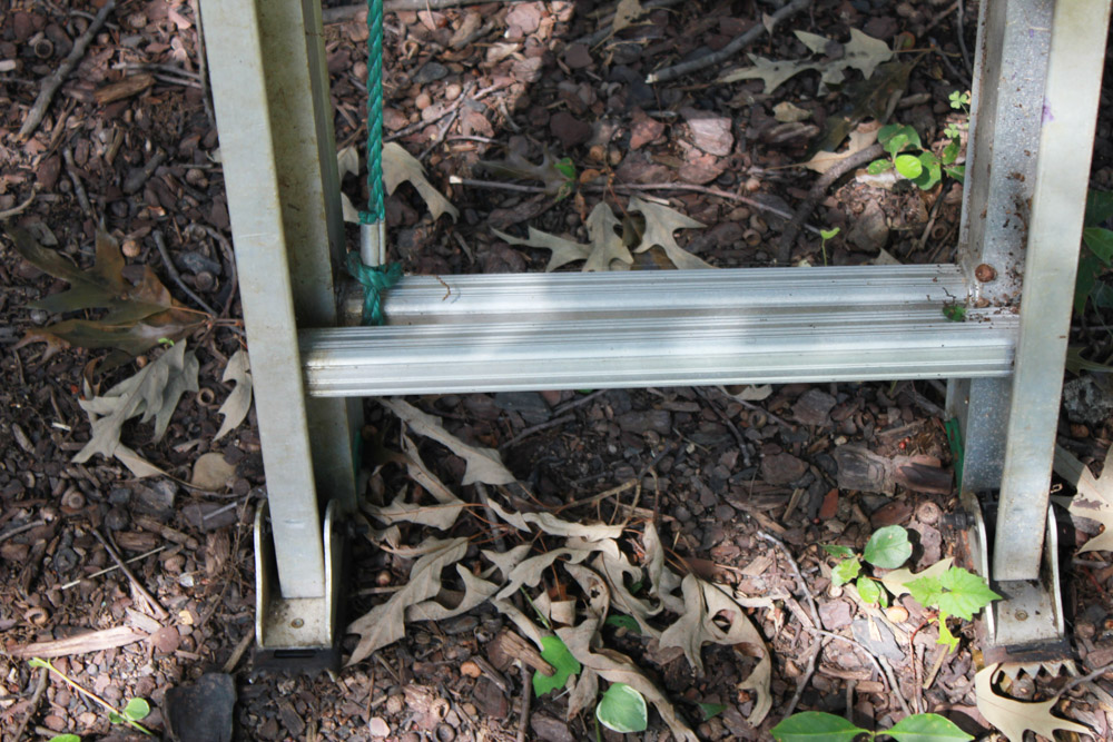 Werner Extension Ladder