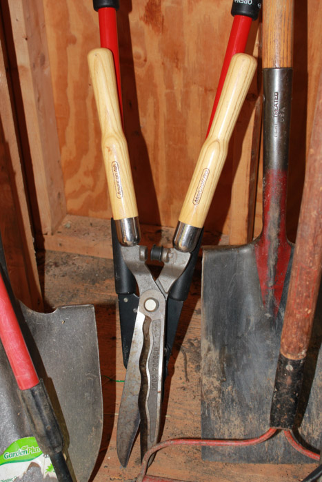 Group of Garden Tools
