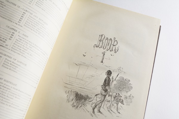 8-Volume Set of "The Pictorial Edition of the Works of Shakespeare"