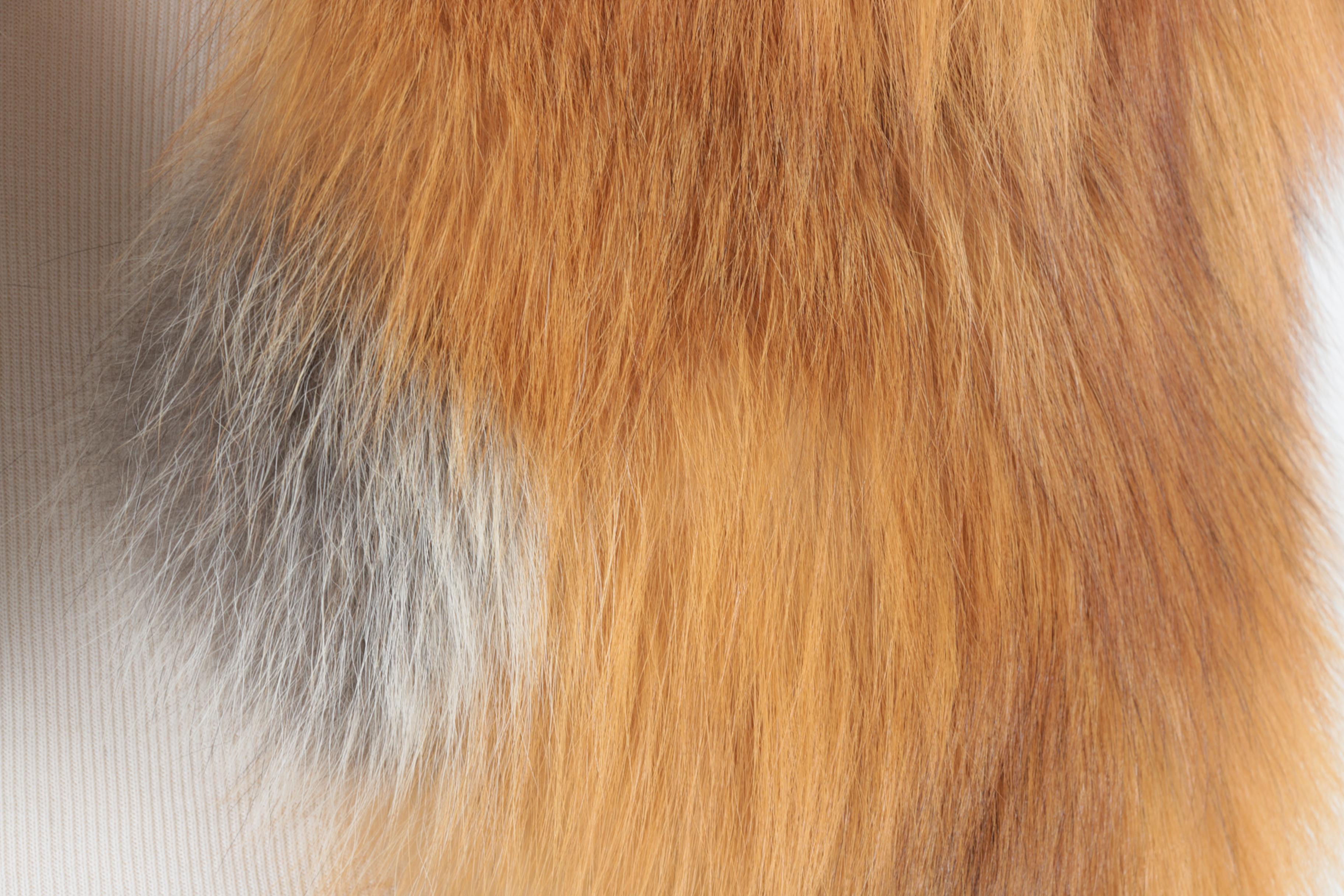 Women's Worth Fox Fur Stole