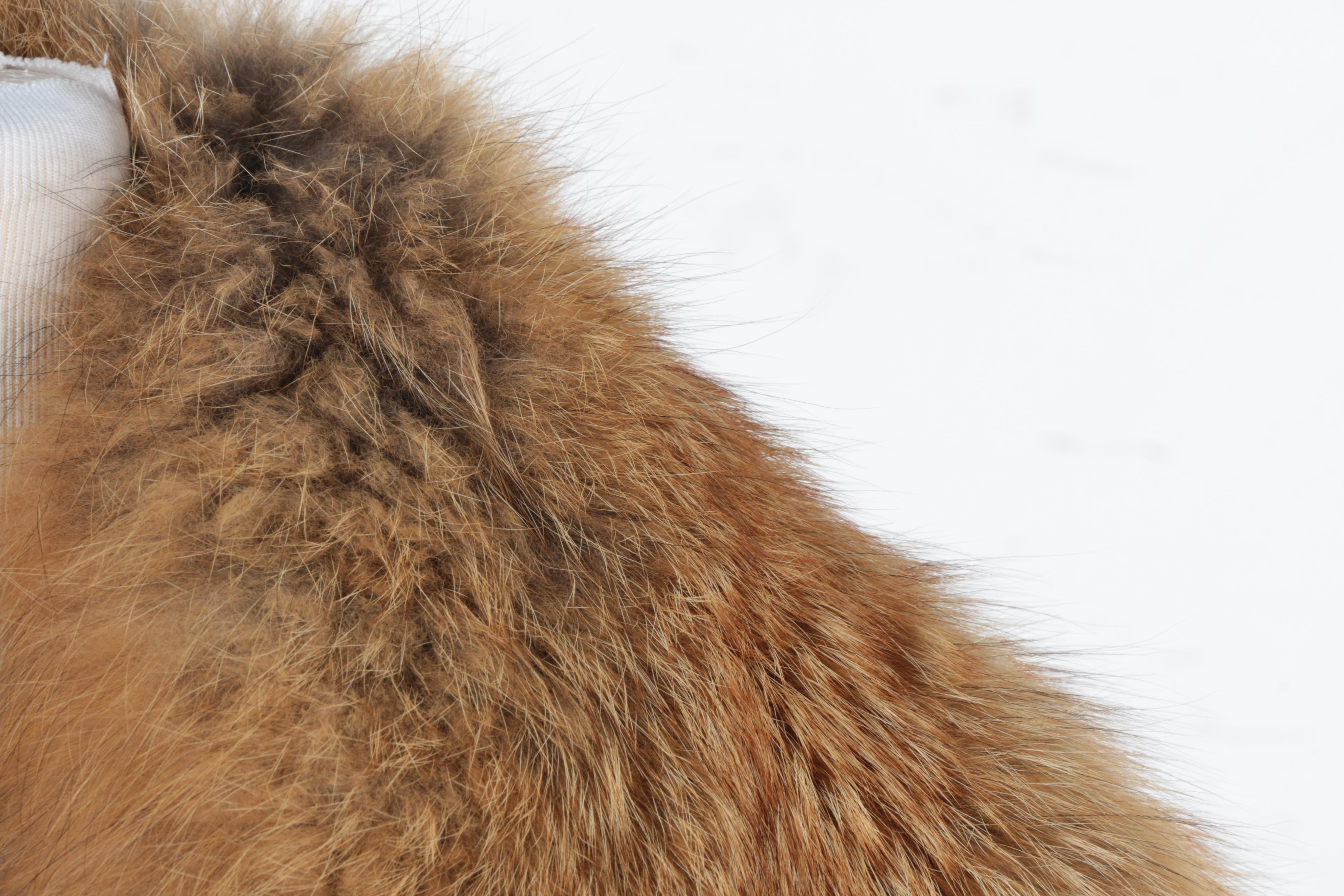 Women's Worth Fox Fur Stole