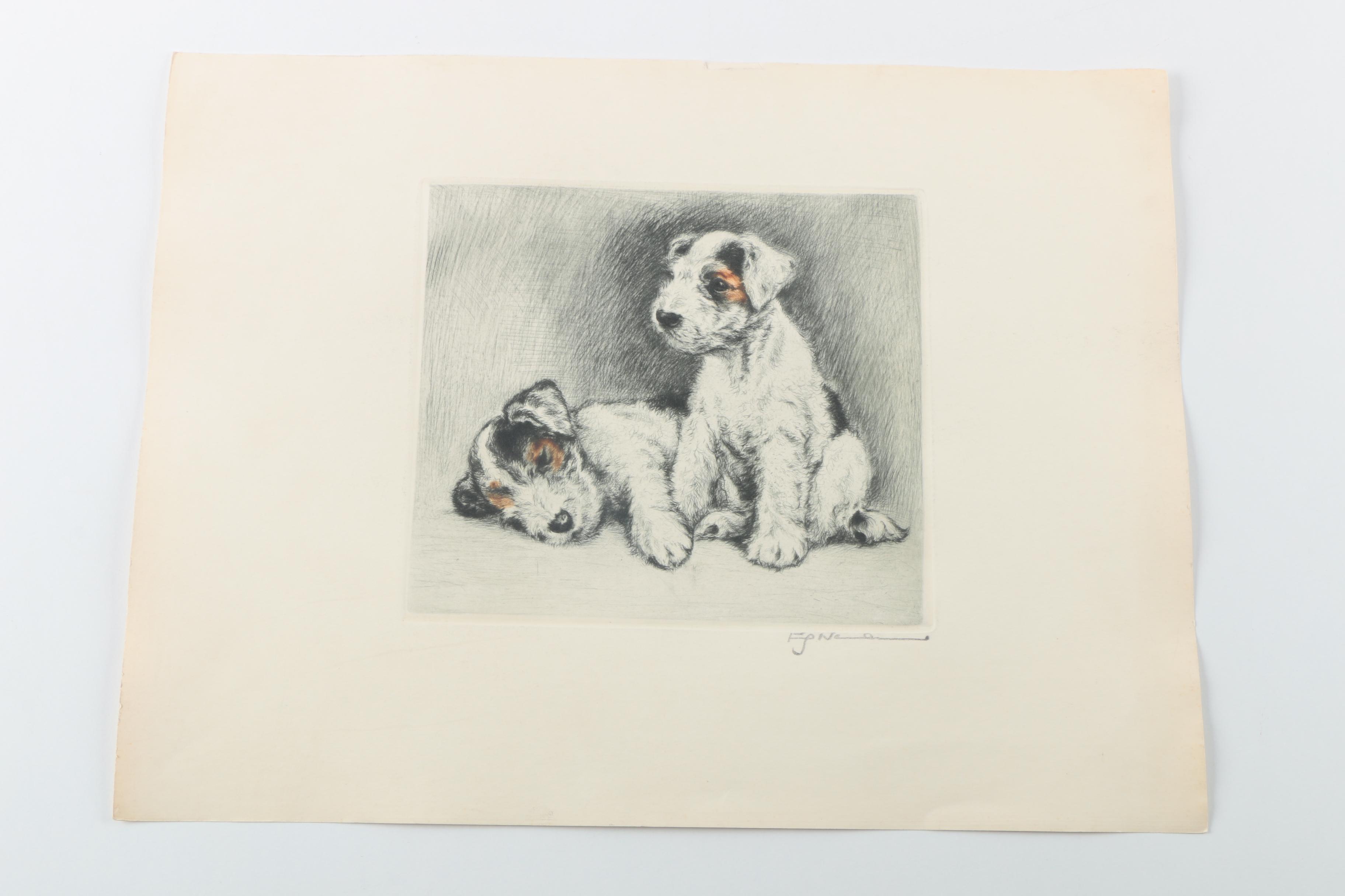 Fritz Neumann Drypoint Engravings of Terrier Puppies