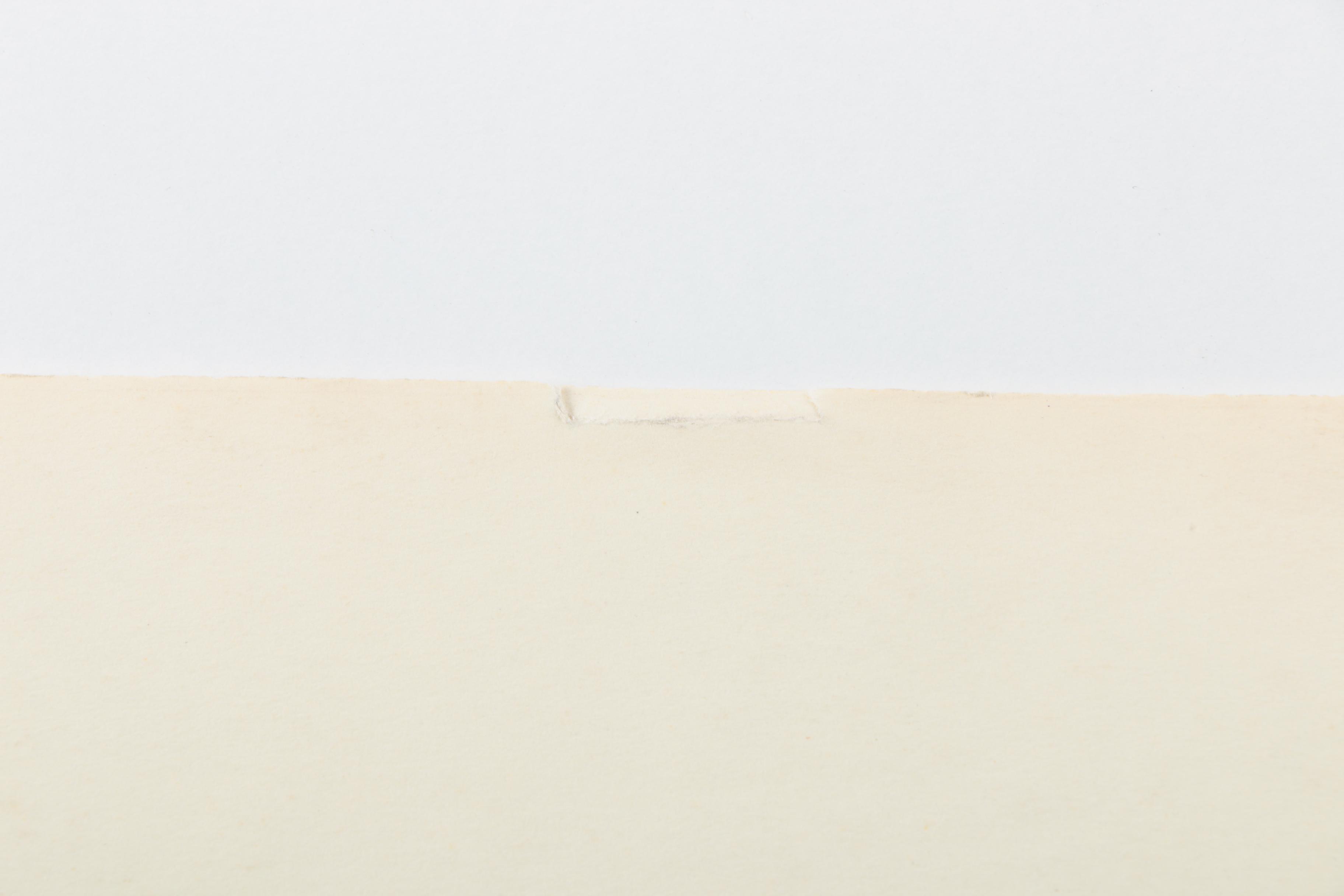 Fritz Neumann Drypoint Engravings of Terrier Puppies