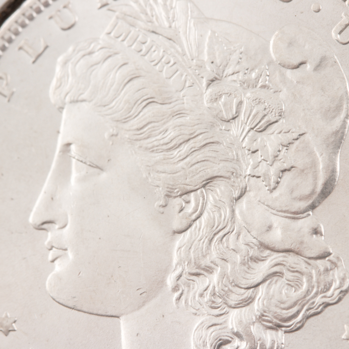 1896 Morgan Silver Dollar