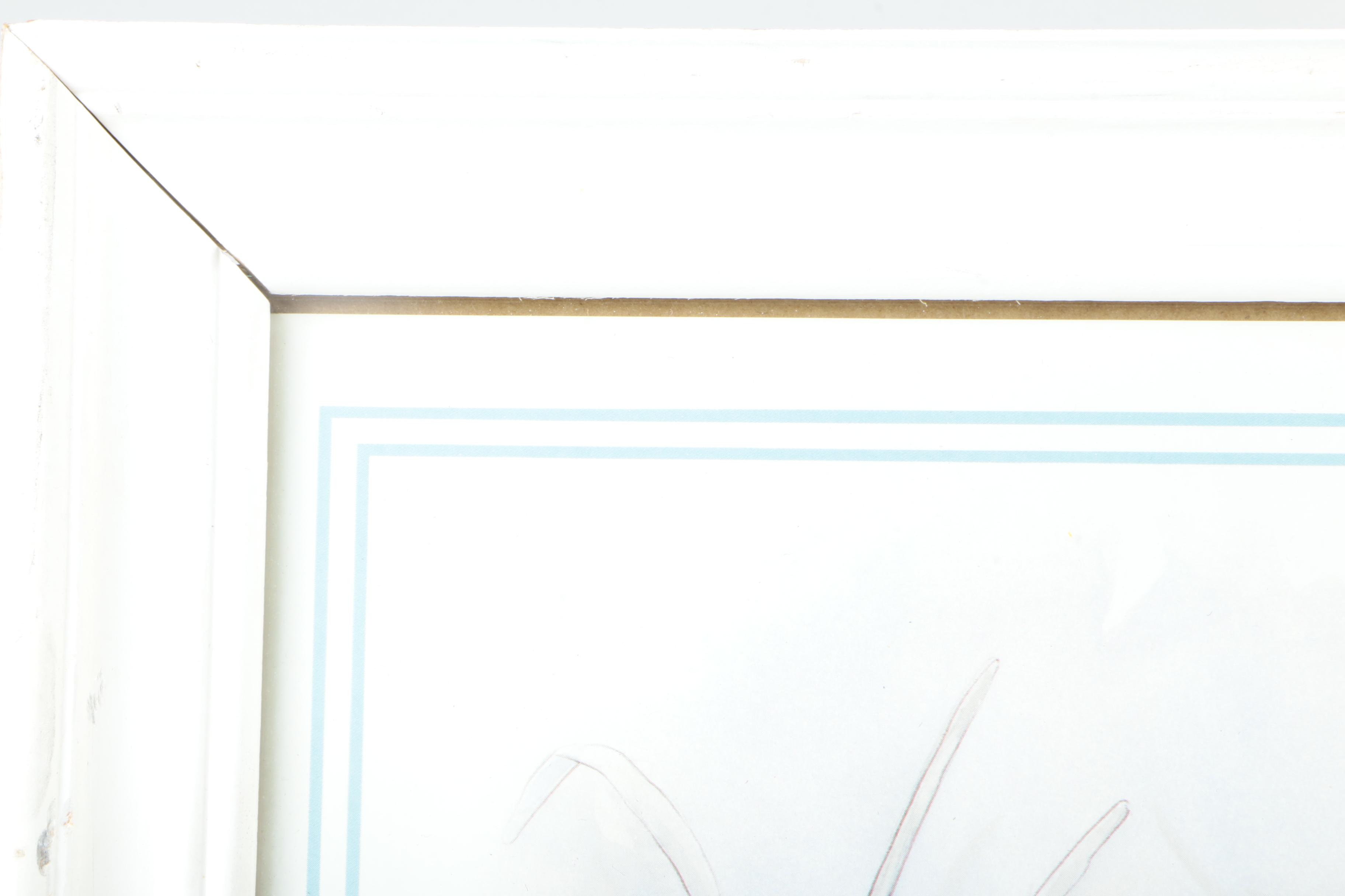 Offest Lithograph After Beatrix Potter of Storybook Illustrations