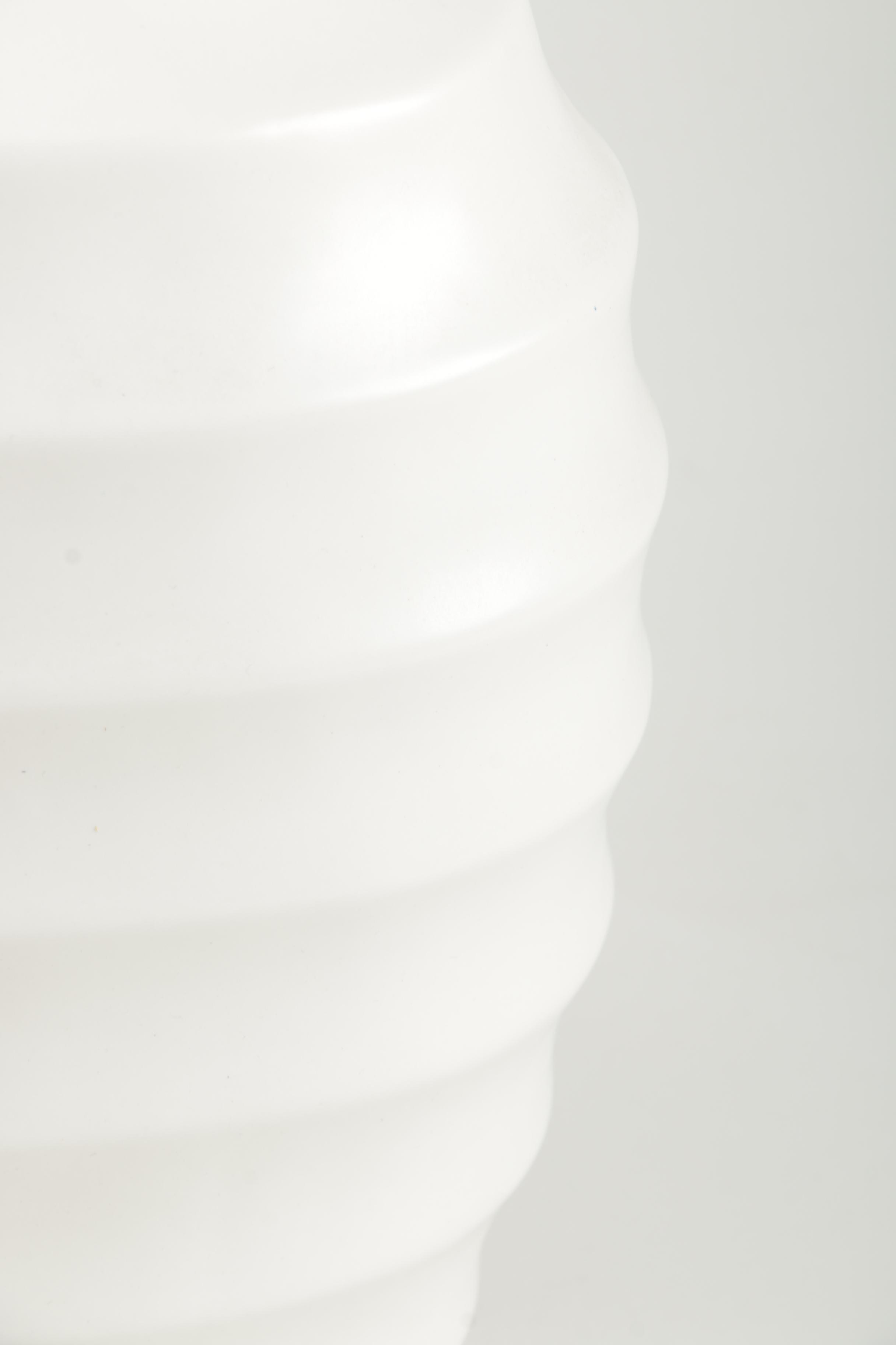 Two White Decorative Ceramic Vases