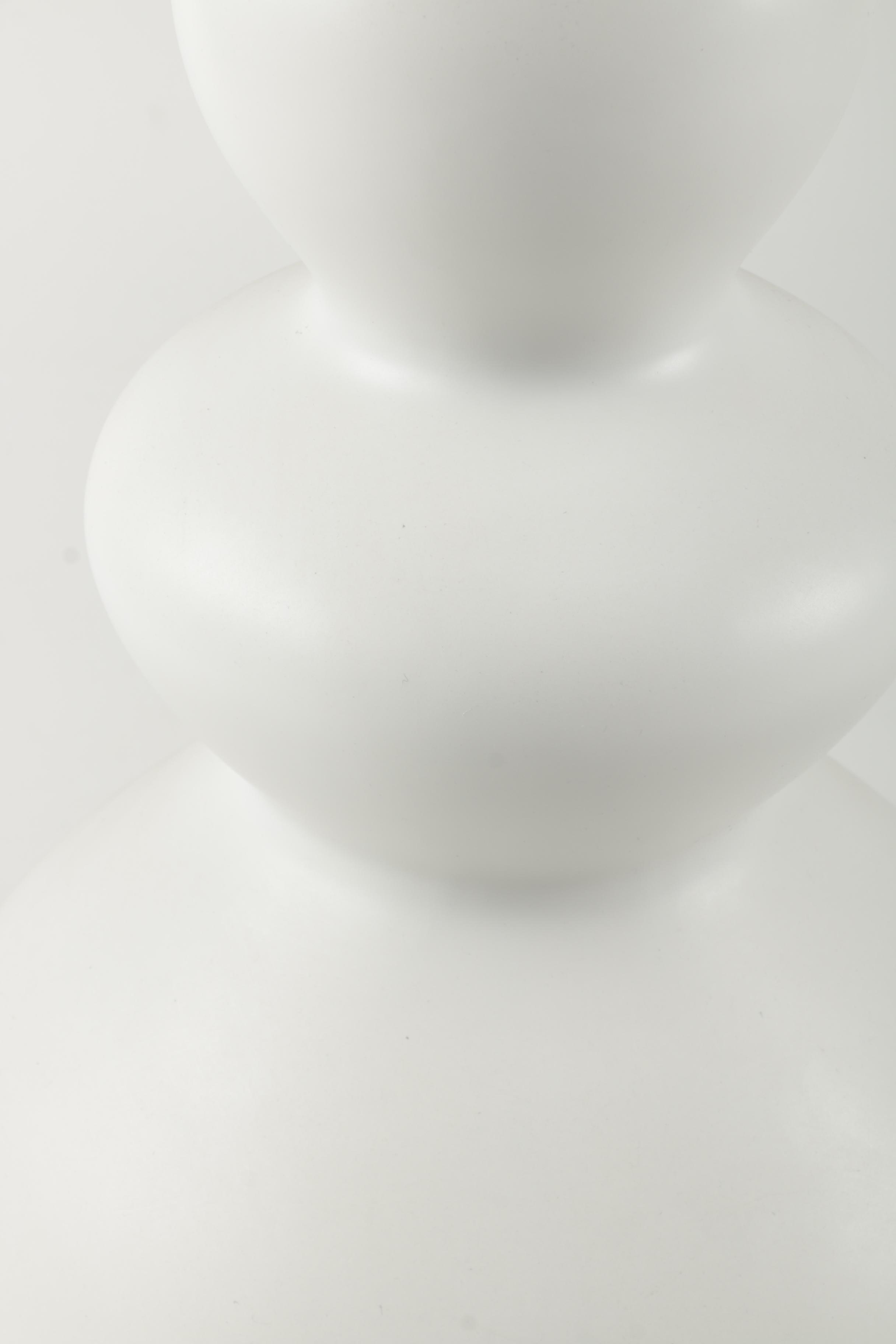 Two White Decorative Ceramic Vases