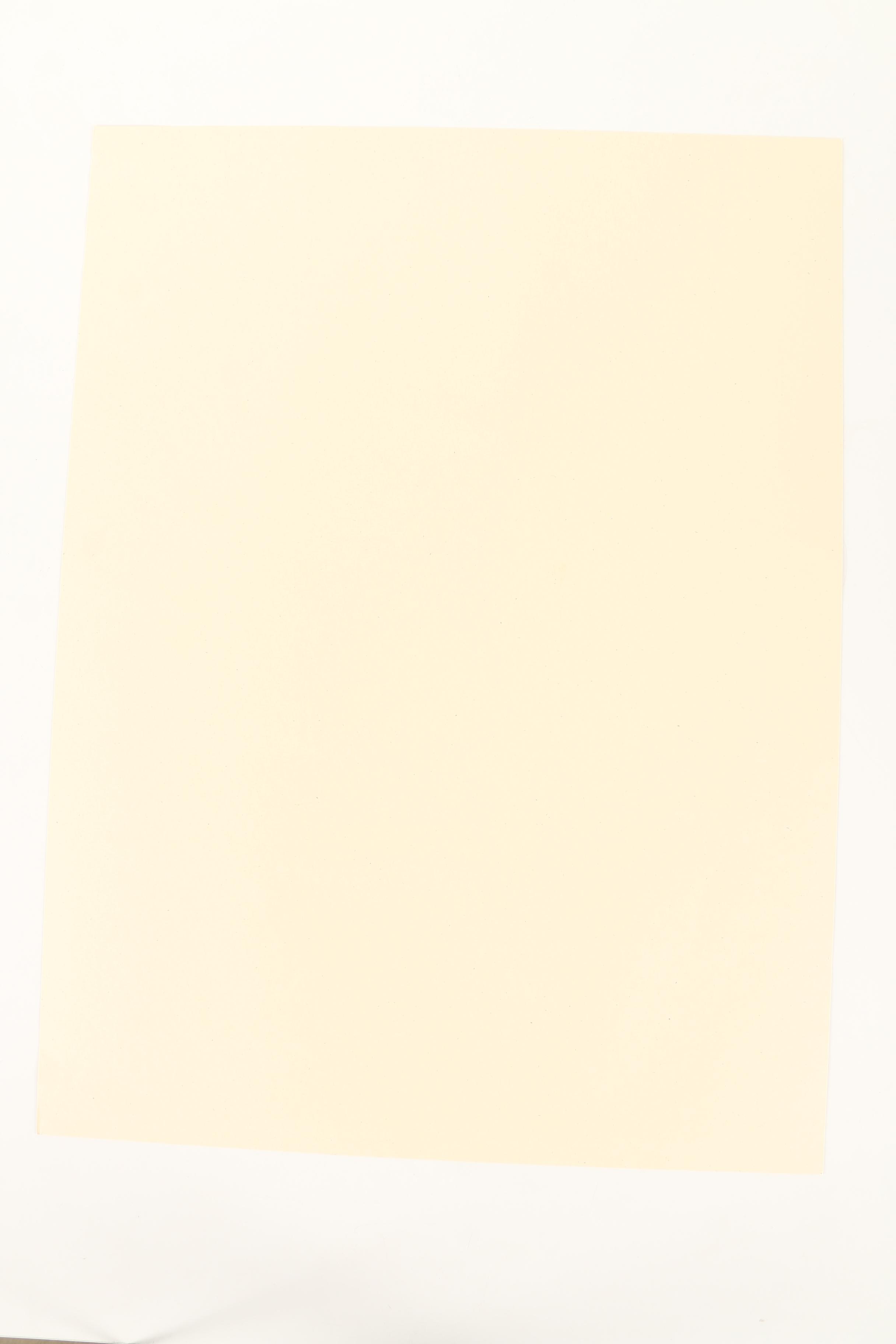 Shephard Fairey and Jon Furlong Limited Edition Serigraph "Covert to Overt"