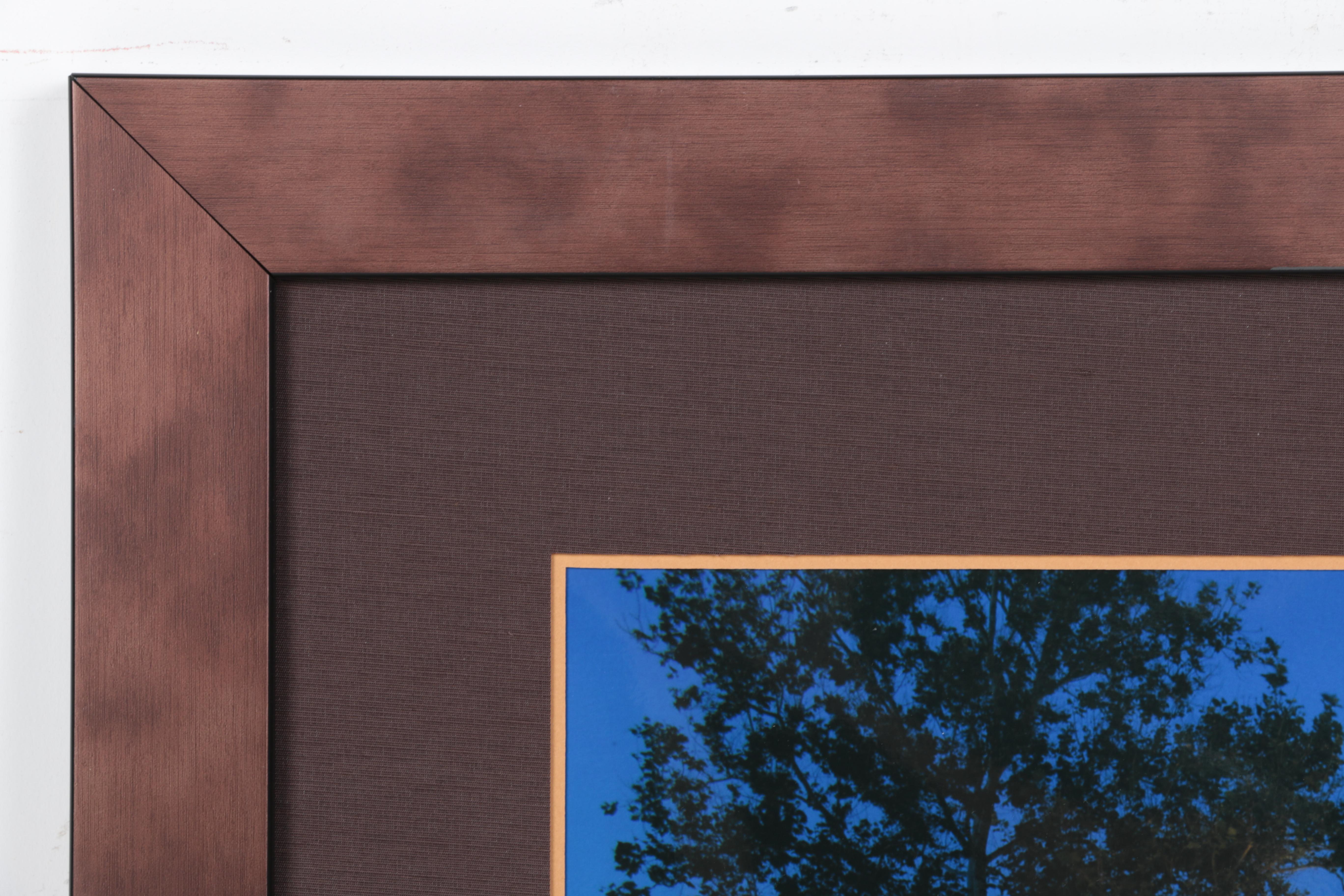 Digital Photograph of Indianapolis White River Trail by Conrad Piccirillo