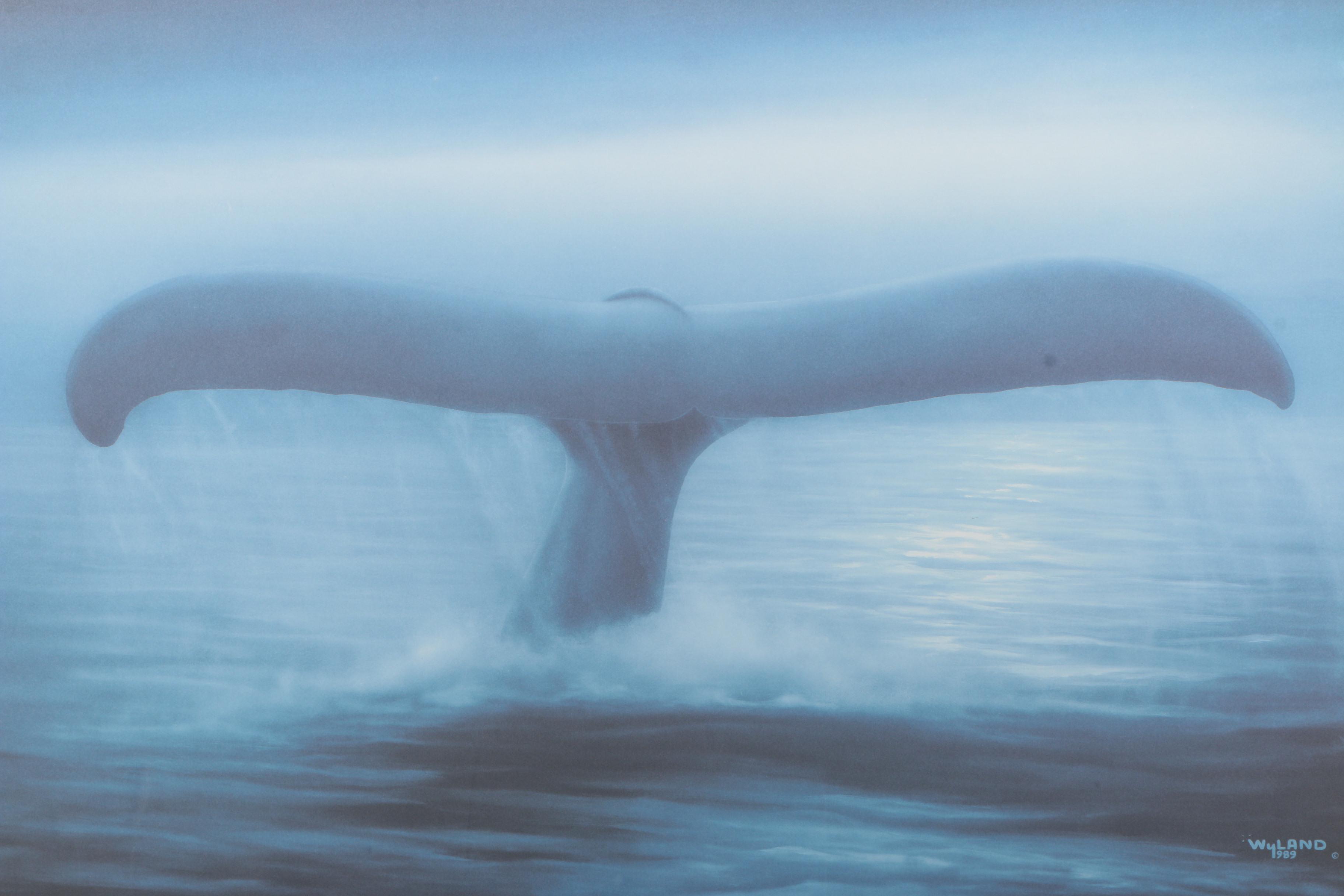 Robert Wyland Limited Edition Offset Lithograph "Tails of Great Whales"