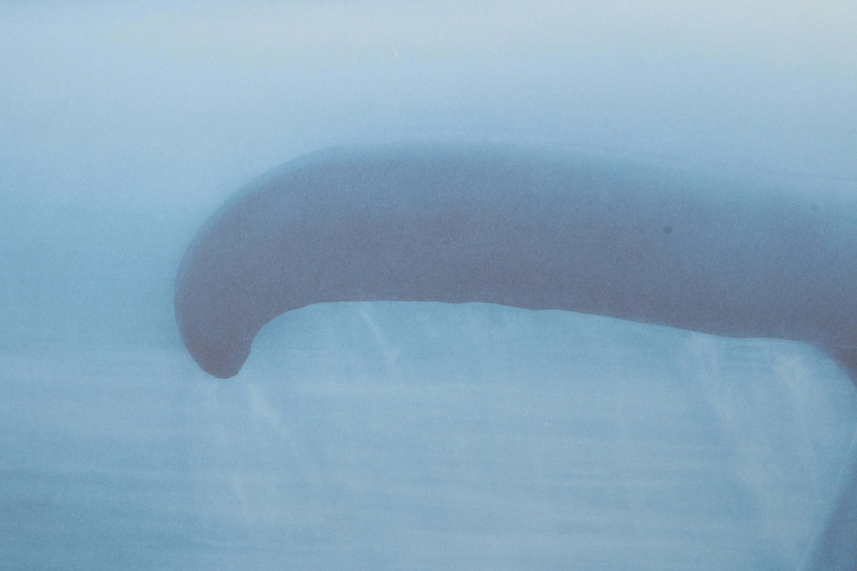 Robert Wyland Limited Edition Offset Lithograph "Tails of Great Whales"