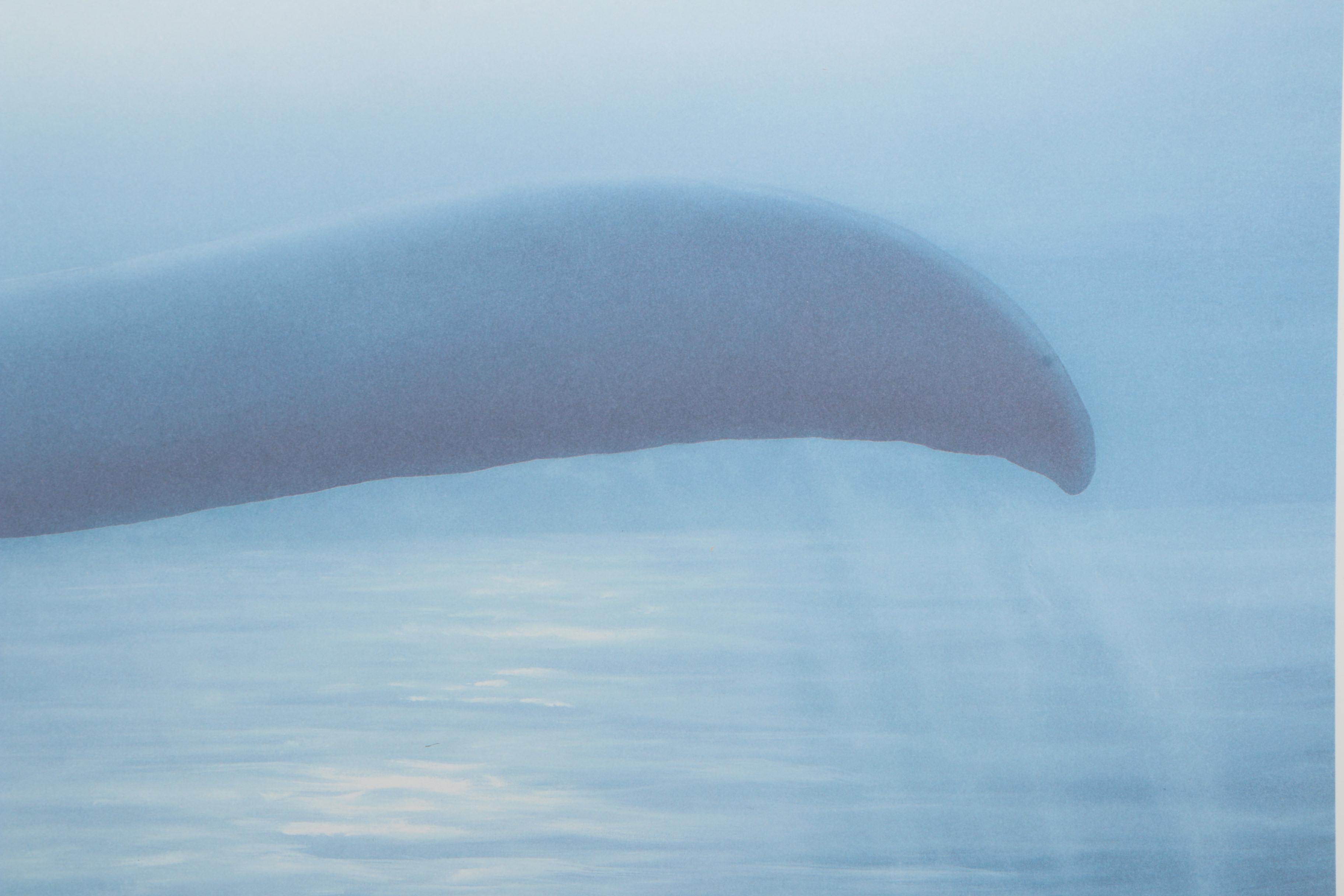 Robert Wyland Limited Edition Offset Lithograph "Tails of Great Whales"