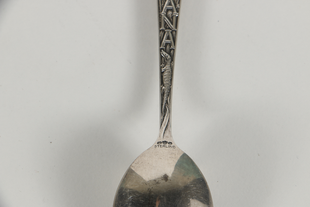 Collection of Eighteen Sterling Silver Travel Souvenir Spoons