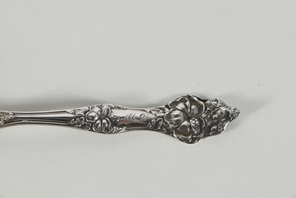 Collection of Thirteen Sterling Silver Ohio Souvenir Spoons