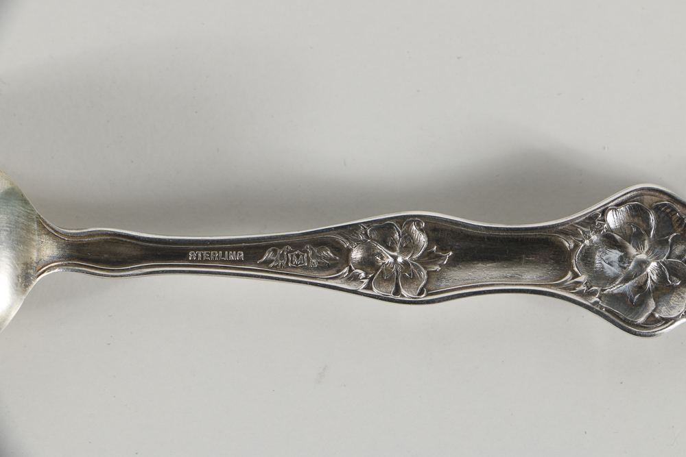 Collection of Thirteen Sterling Silver Ohio Souvenir Spoons