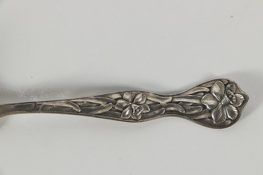 Collection of Thirteen Sterling Silver Ohio Souvenir Spoons